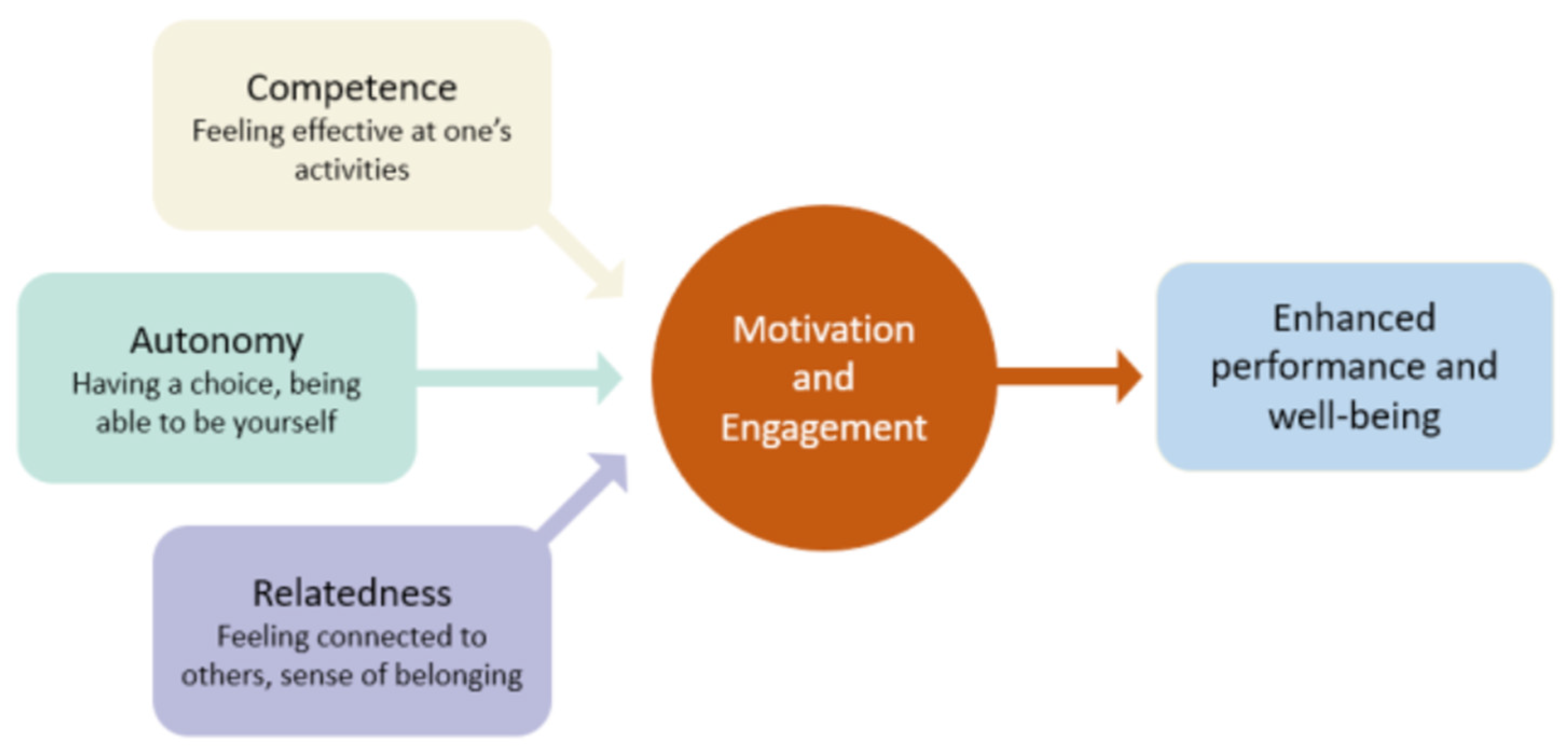 Education 14 01115 g001