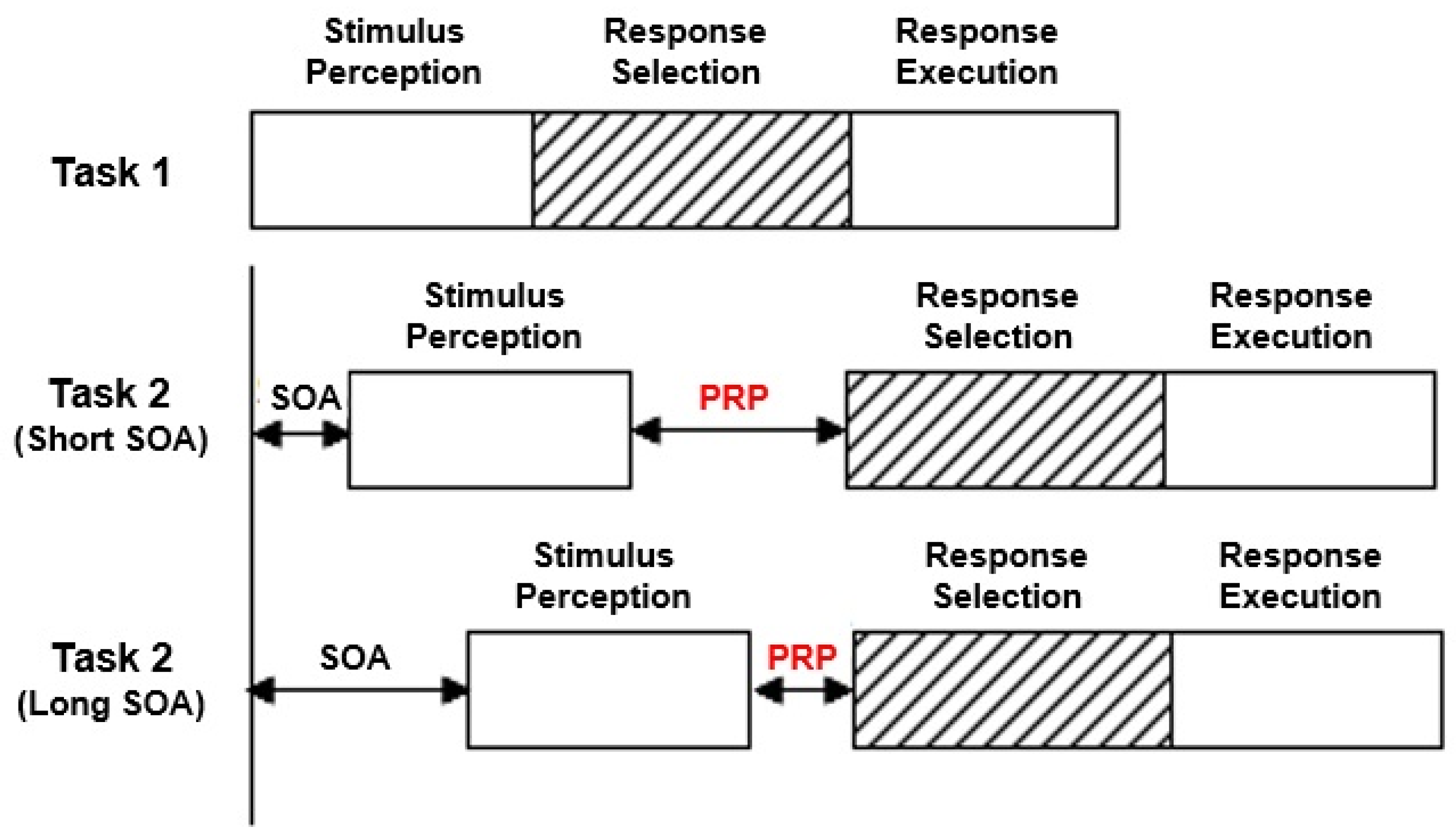 Education 15 00506 g001