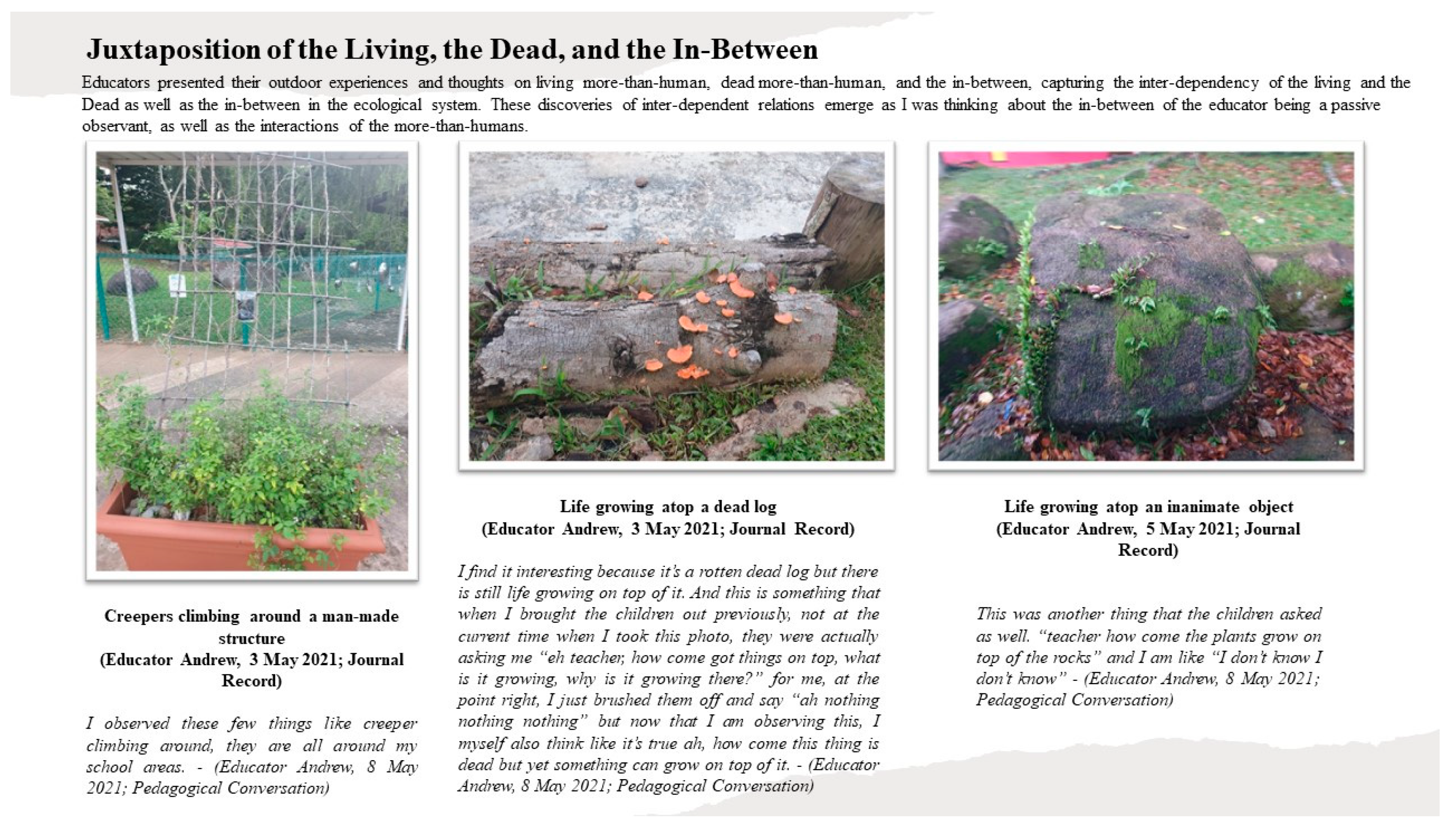 Education 15 01109 g002 Education 15 01109 g002