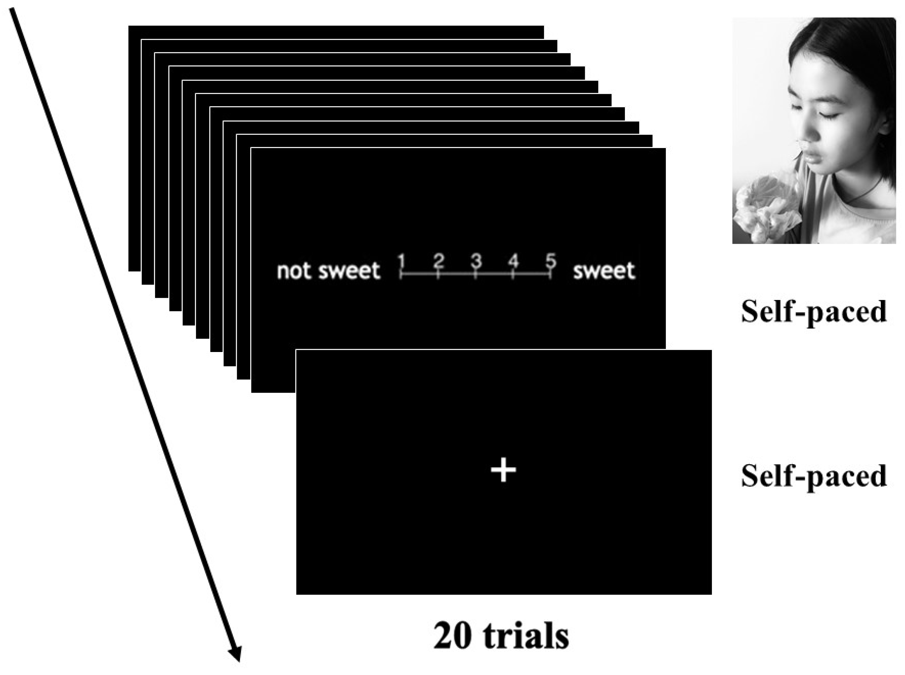 Ejihpe 11 00074 g001 Ejihpe 11 00074 g001