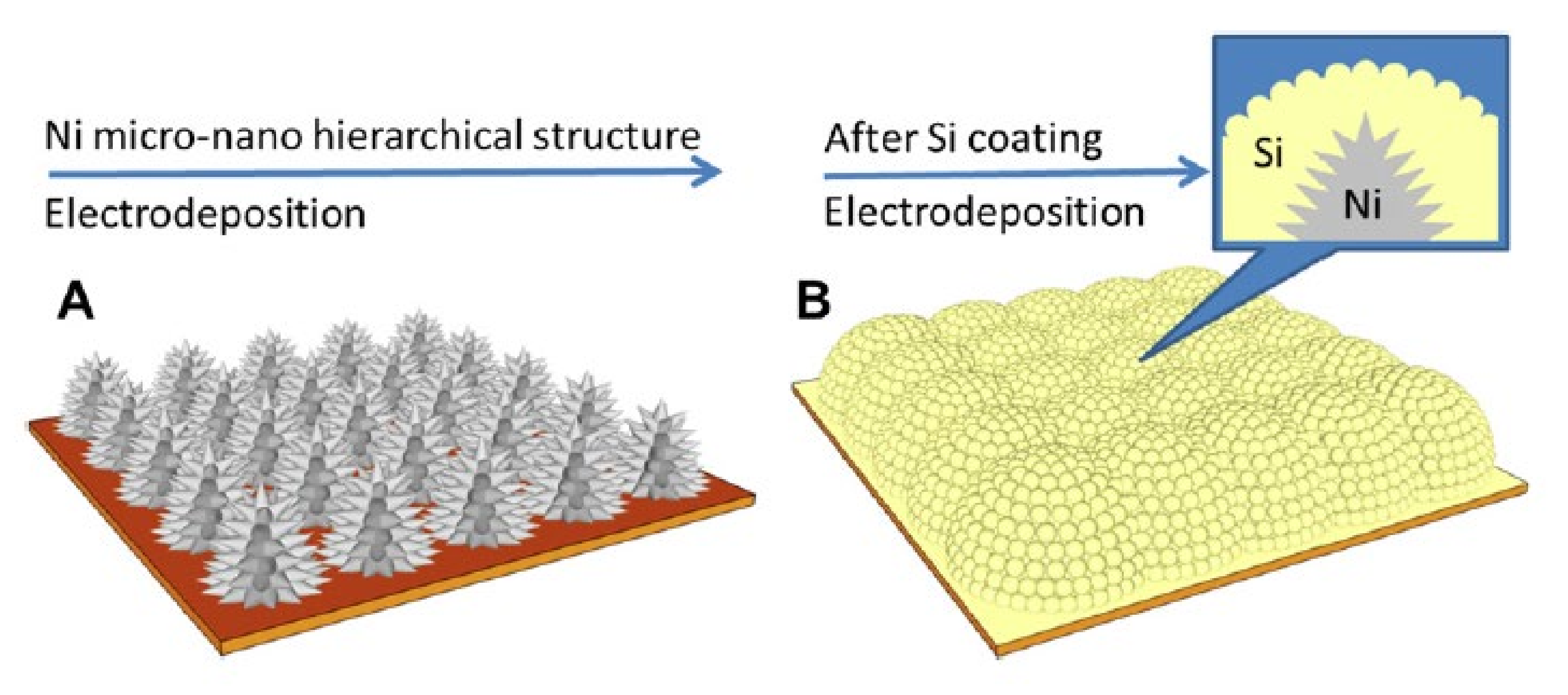 Electrochem 01 00011 g003