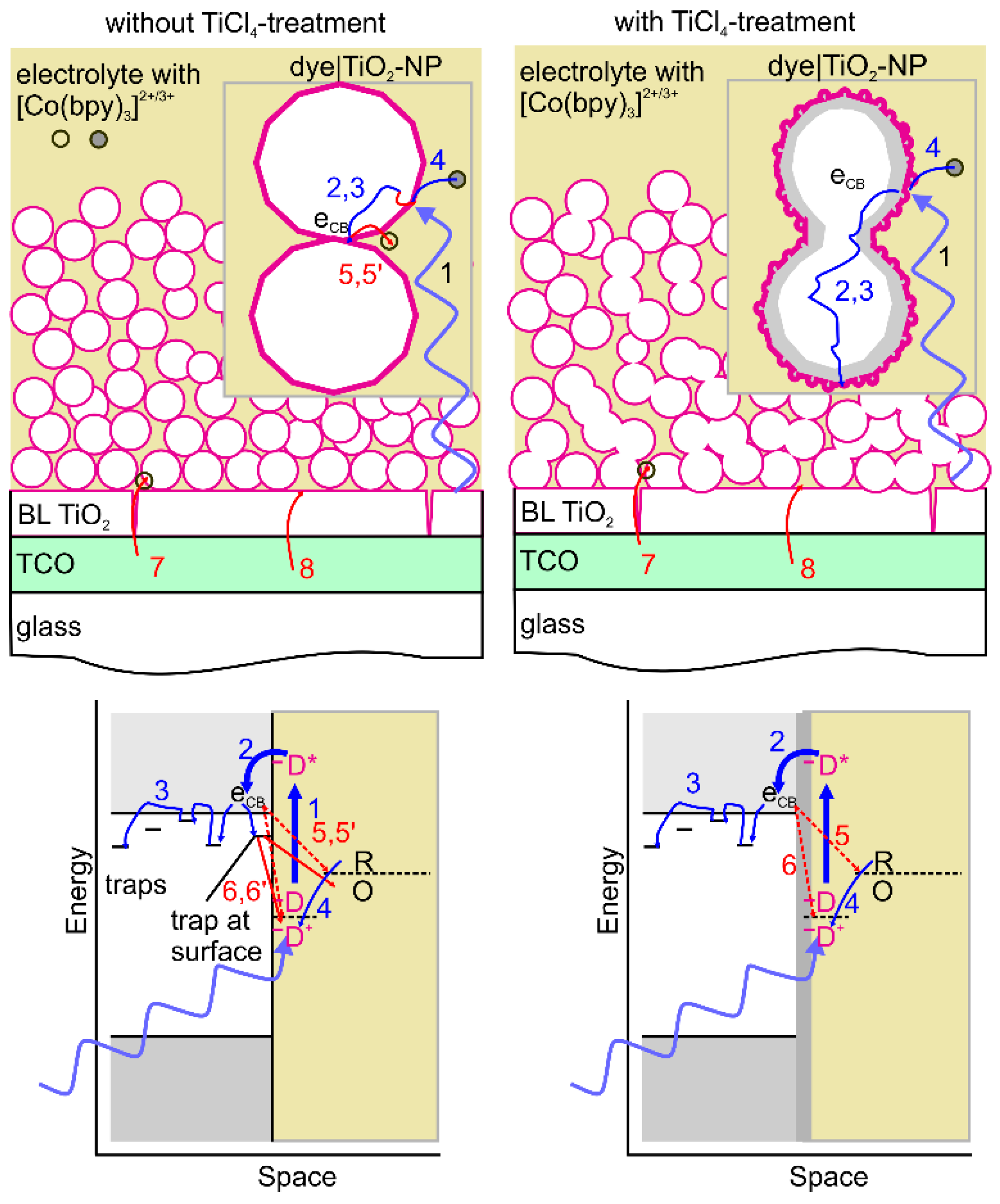 Electrochem 01 00021 g001