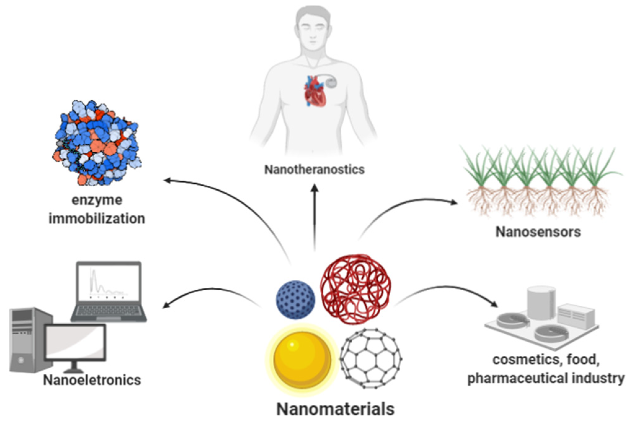 Electrochem 02 00012 g003 Electrochem 02 00012 g003