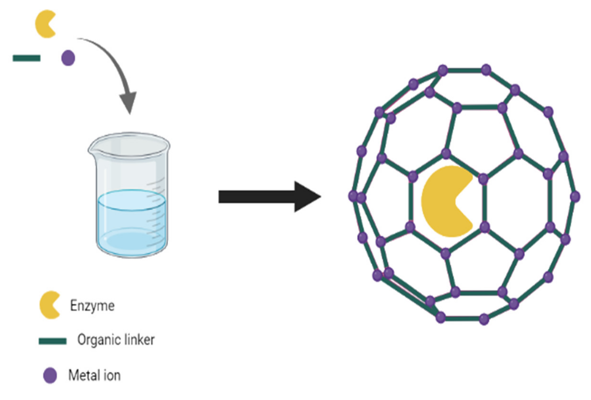 Electrochem 03 00006 g003