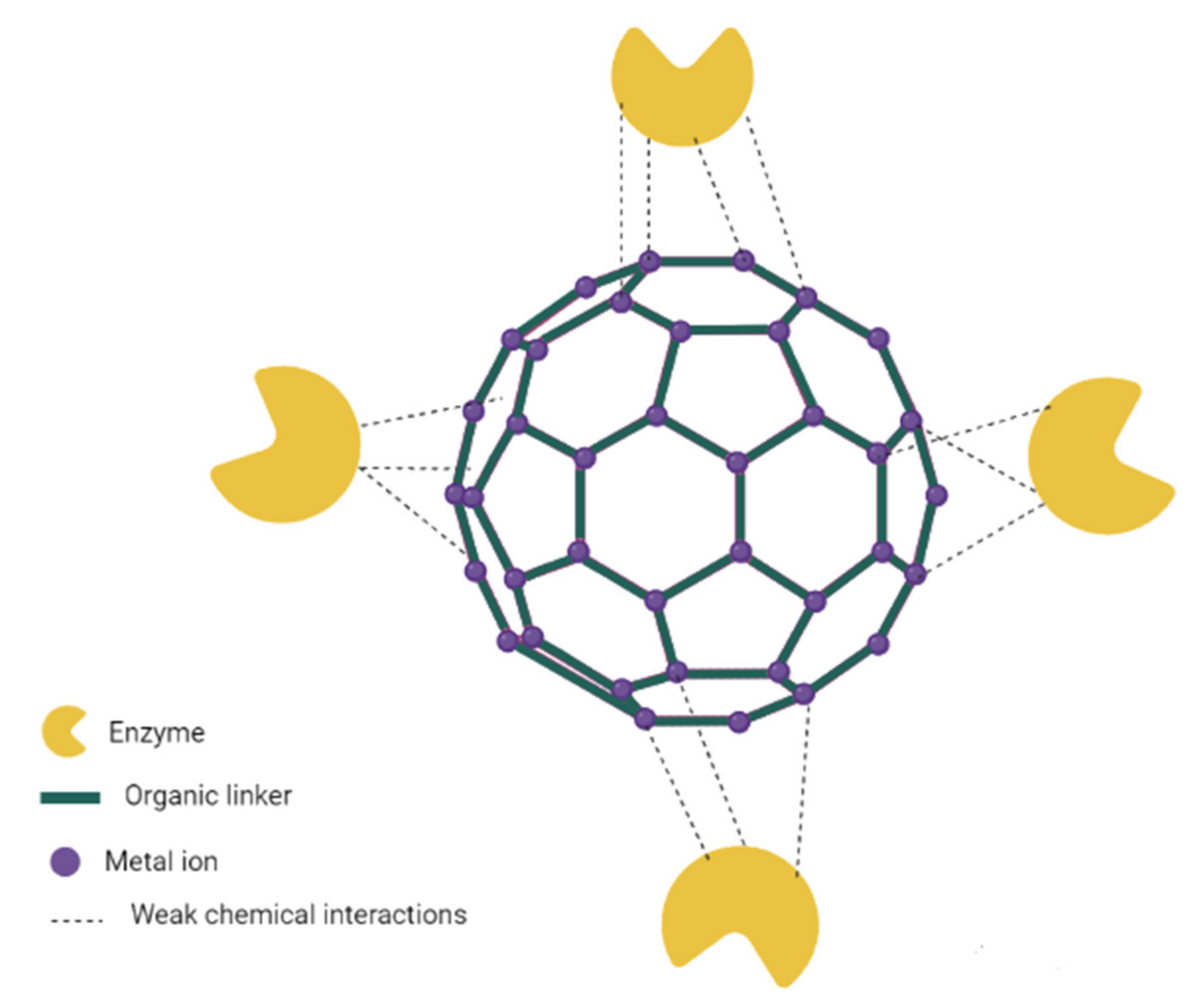 Electrochem 03 00006 g006