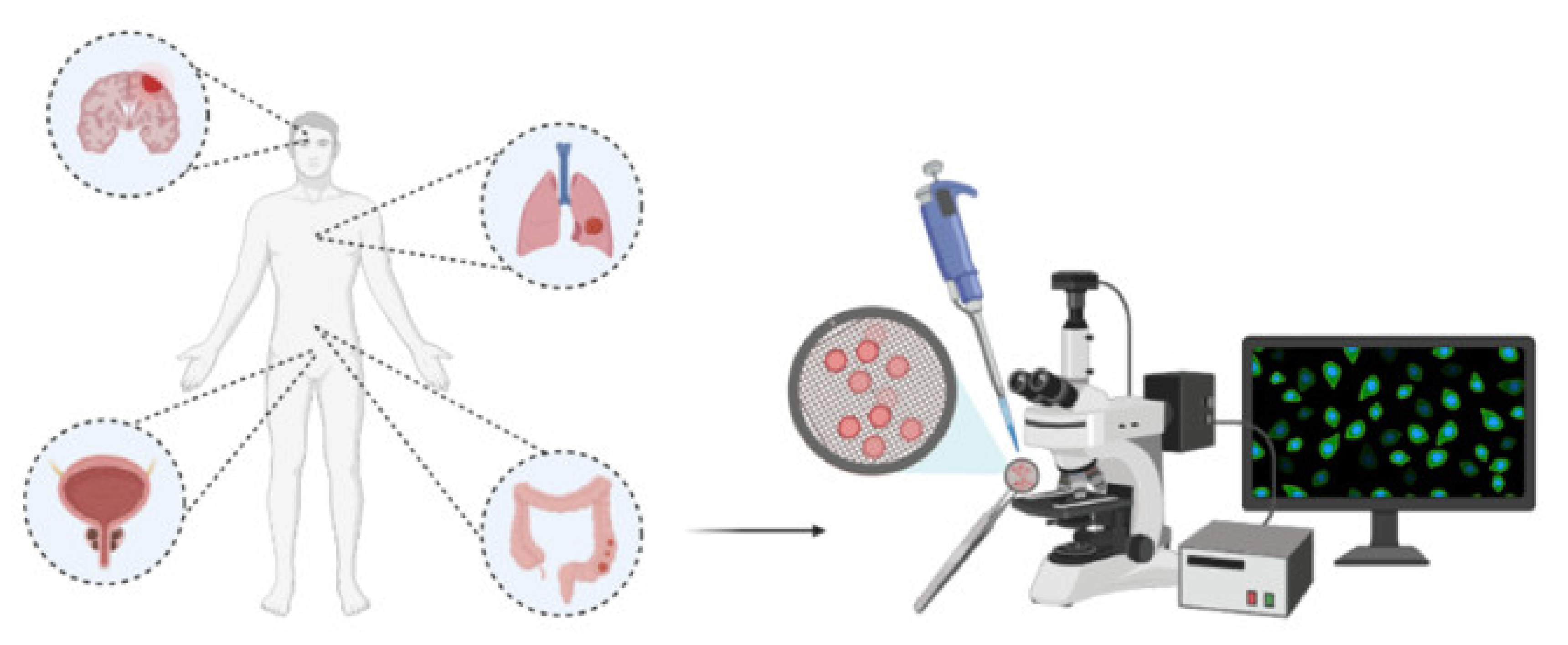 Electrochem 03 00006 g010