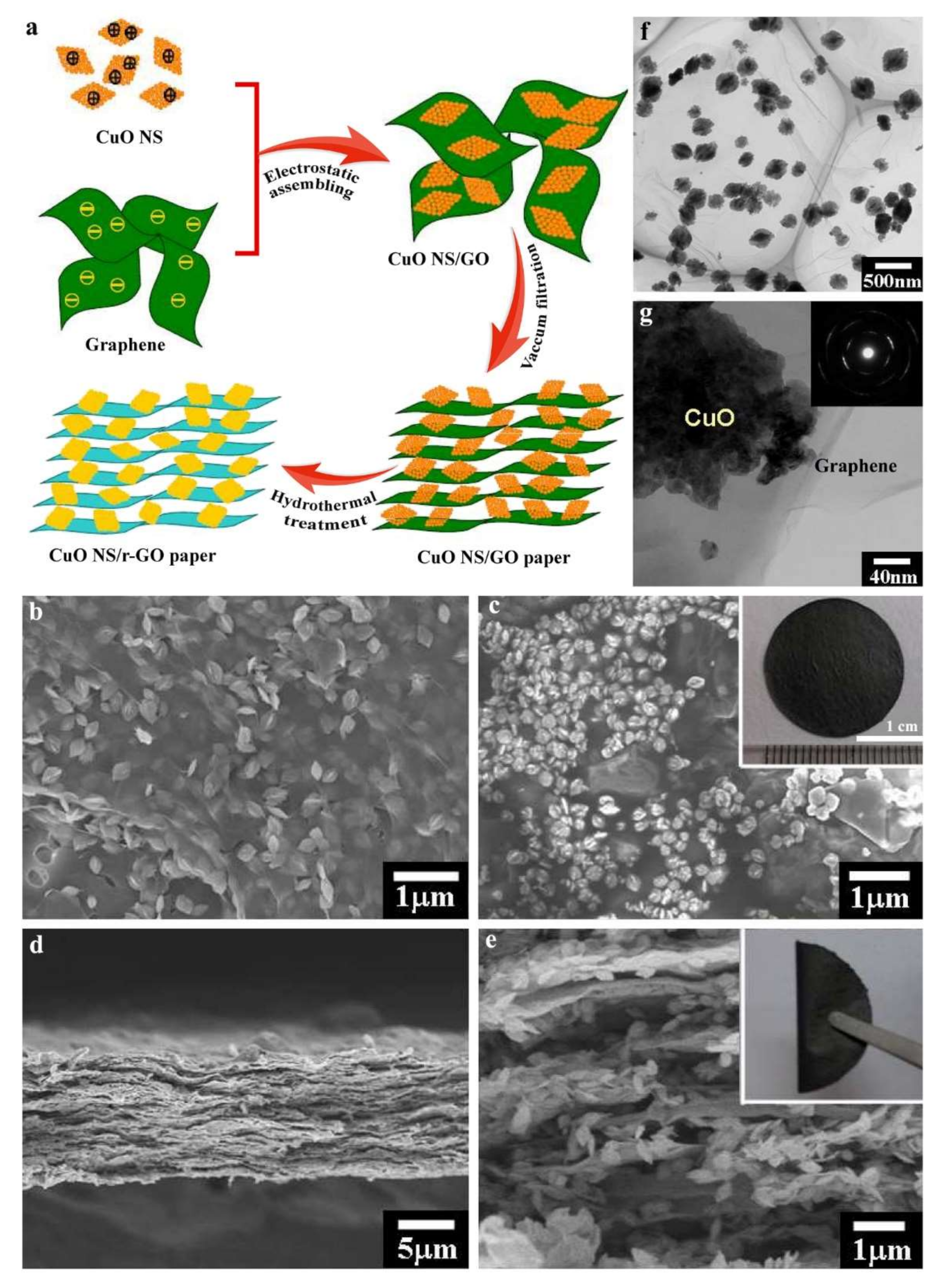 Electrochem 03 00010 g015