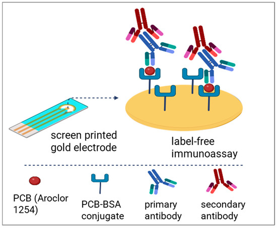 Immuno Gold Rabbit-anti-Chicken, IgG