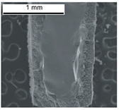 Electrochem 03 00050 i006