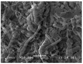 Electrochem 03 00050 i009
