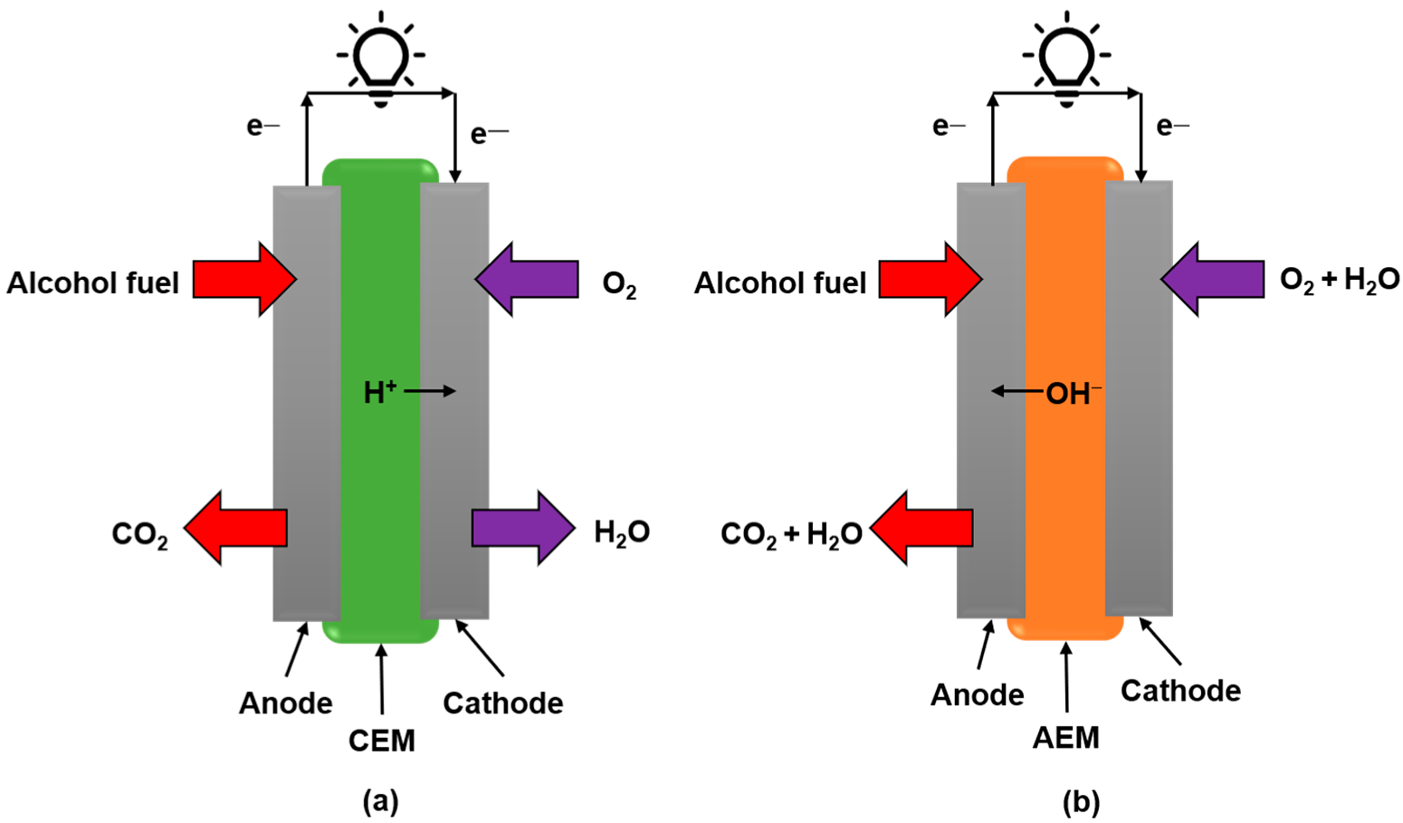 Electrochem Free FullText EnvironmentFriendly Ascorbic Acid Fuel Cell