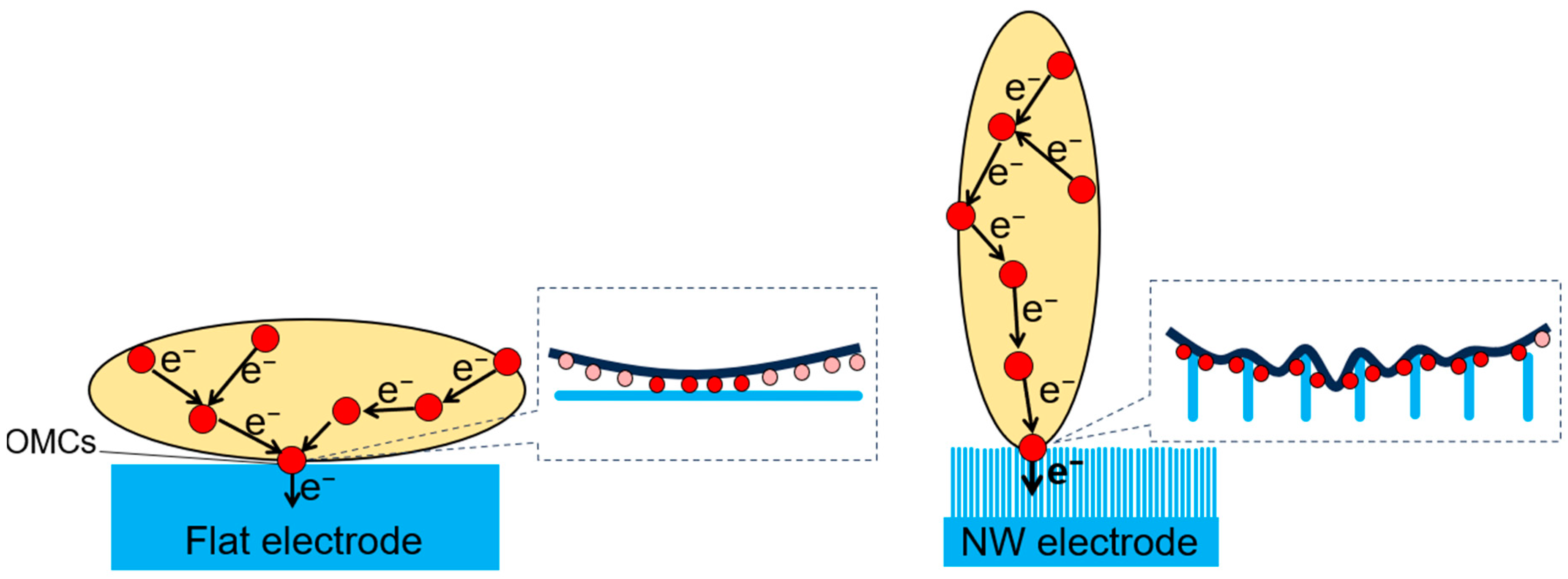 Electrochem 05 00021 g005
