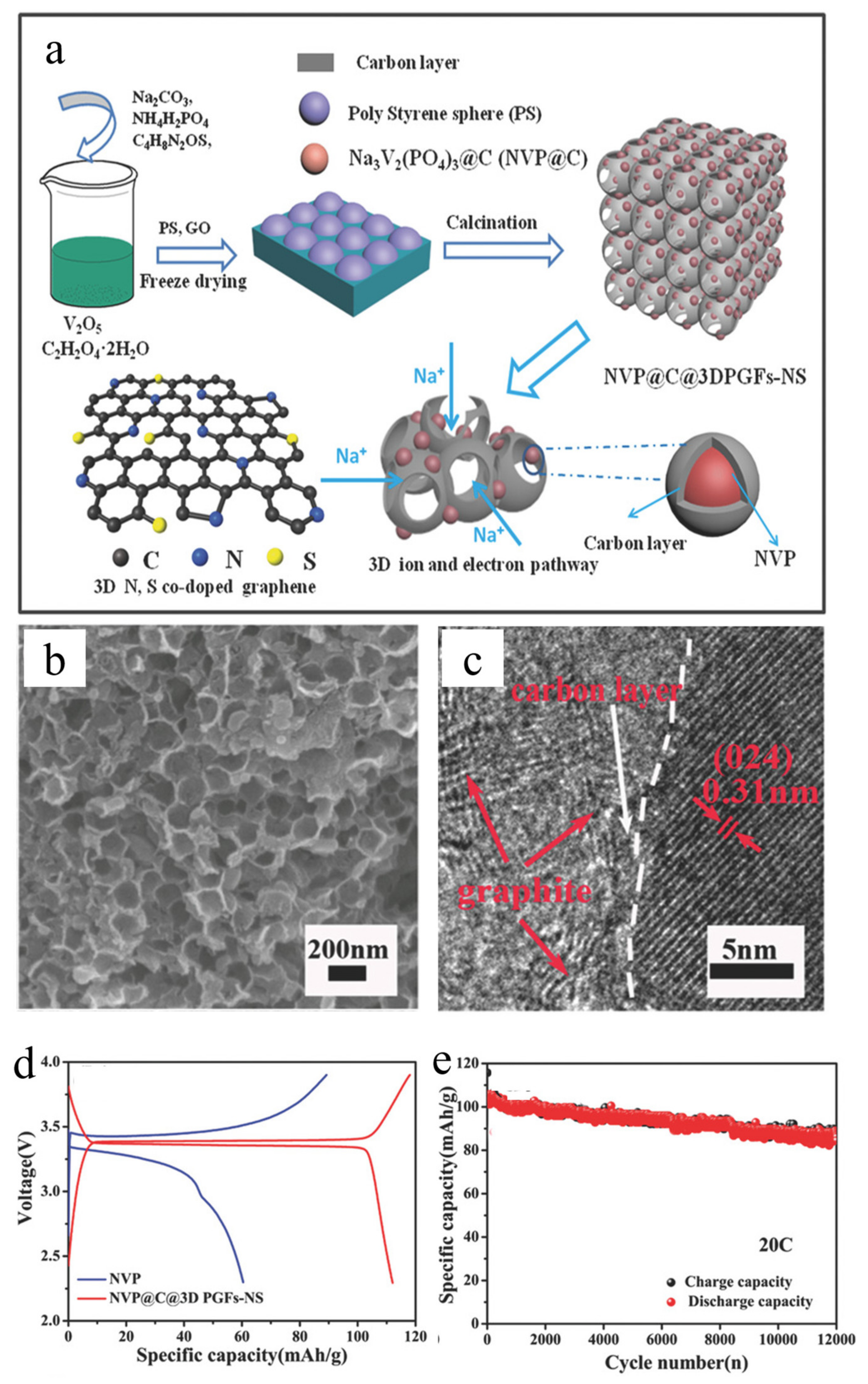 Electronicmat 04 00003 g009