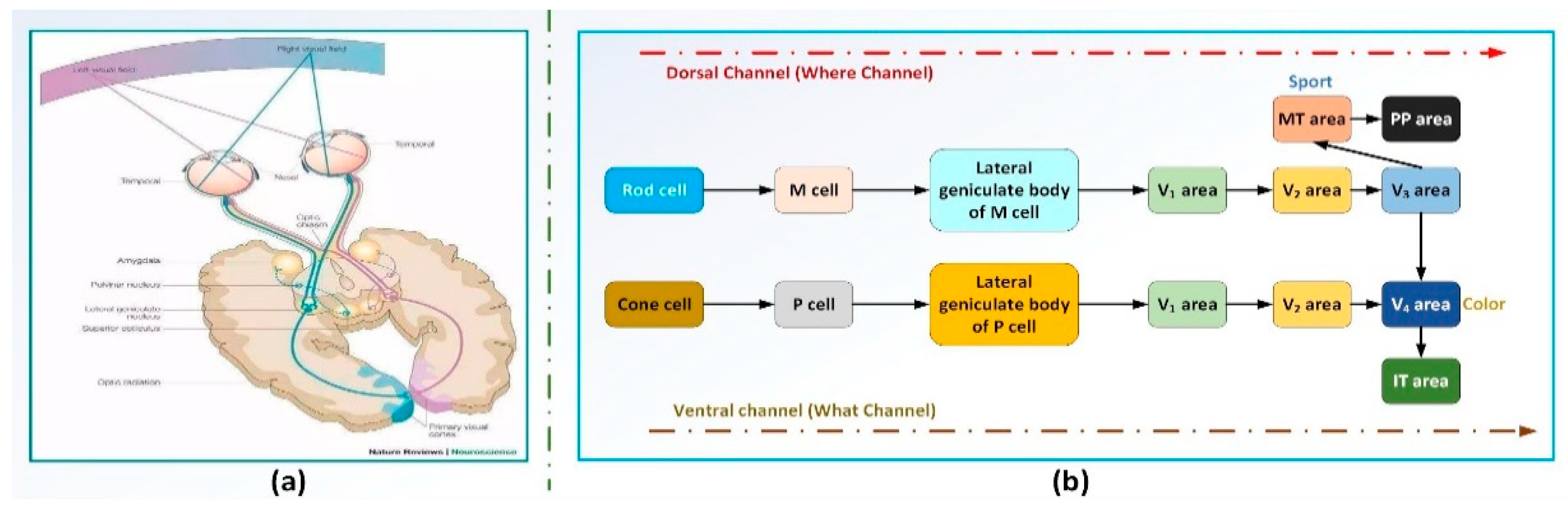 Electronics 07 00216 g003