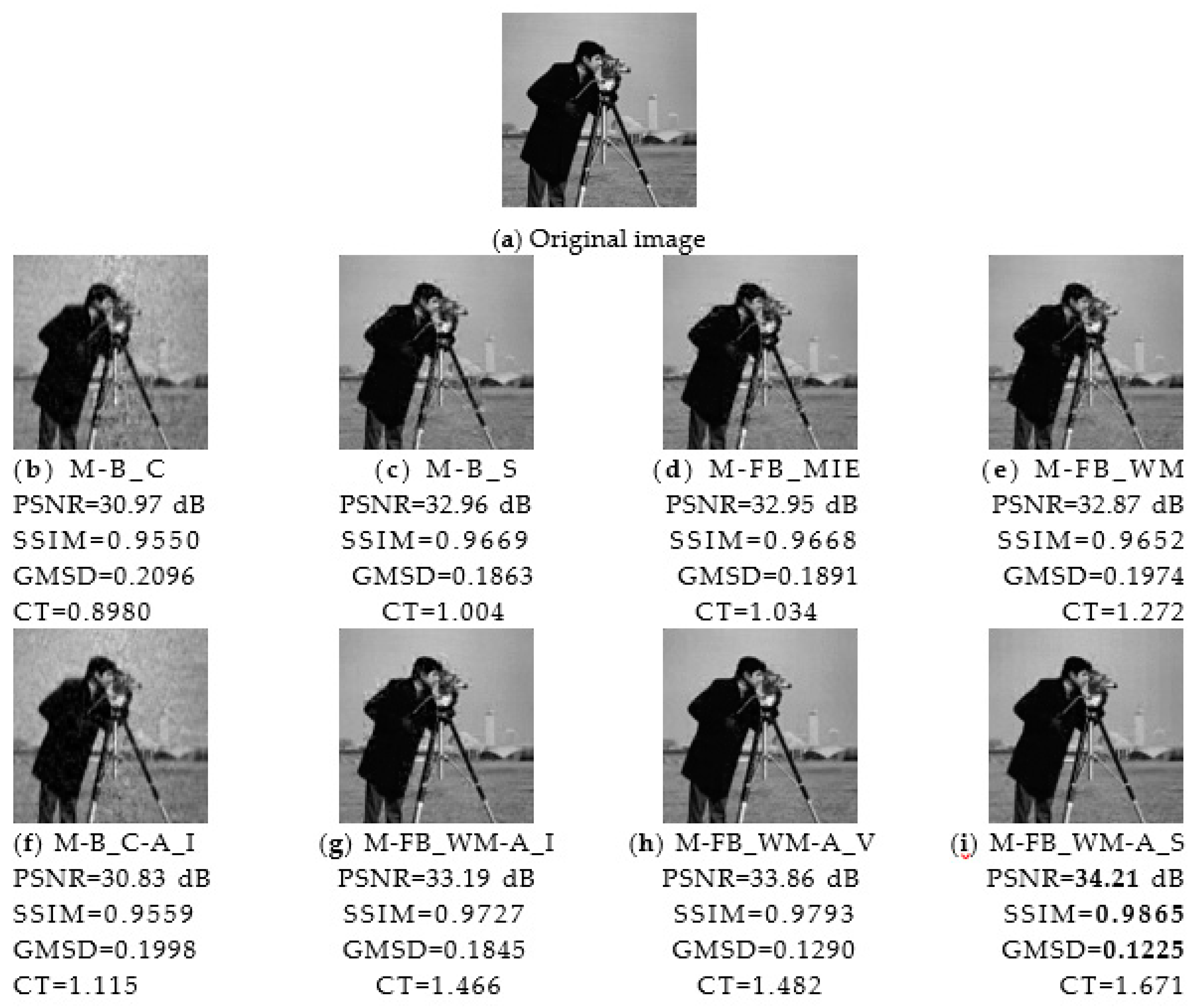 Electronics Free Full Text Adaptive Algorithm On Block Compressive Sensing And Noisy Data Estimation Html