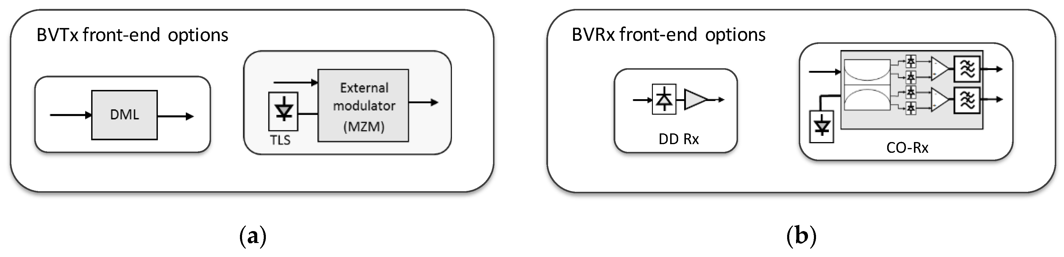 Electronics Free Full Text Sliceable Bvt Evolution Towards Programmable Multi Tb S Networking