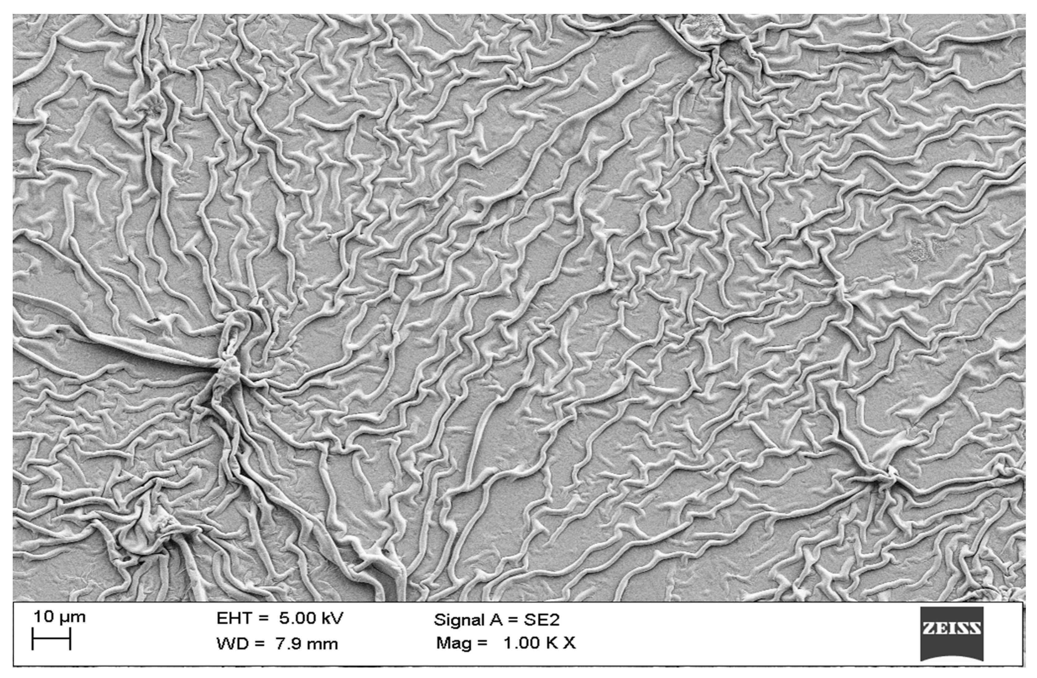 Electronics 09 00287 g002