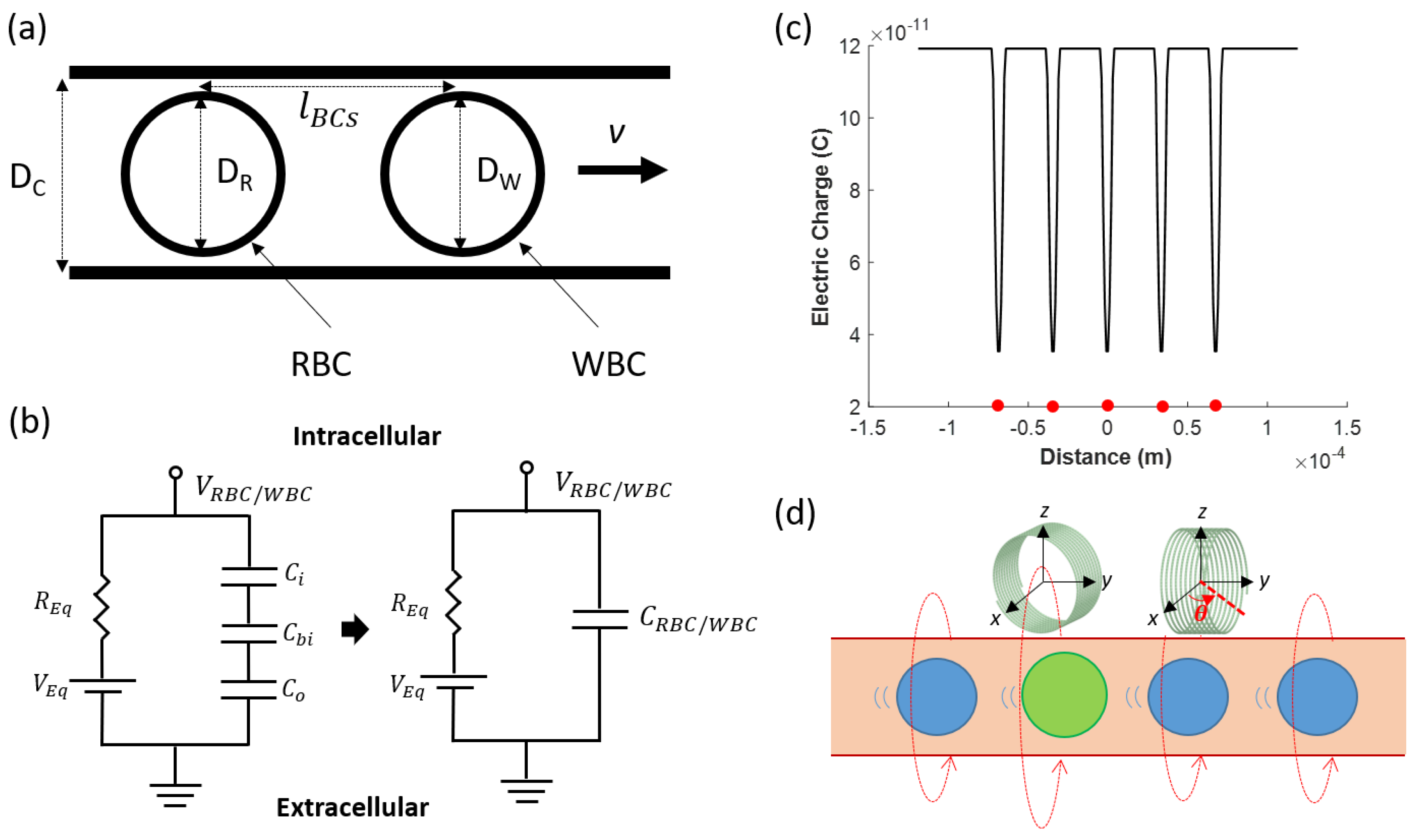Electronics | Free Full-Text | A Simple Capillary Blood Cell Flow  Monitoring System using Magnetic Micro-Sensor: A Simulation Study