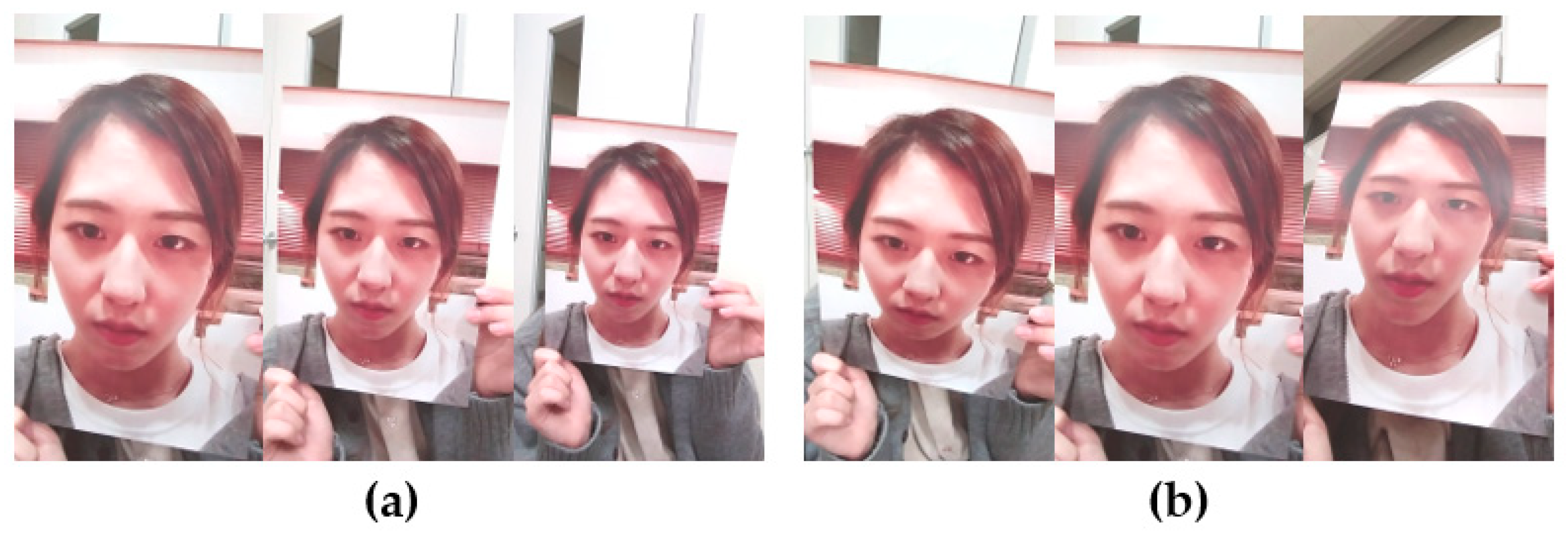 Electronics 09 00661 g005