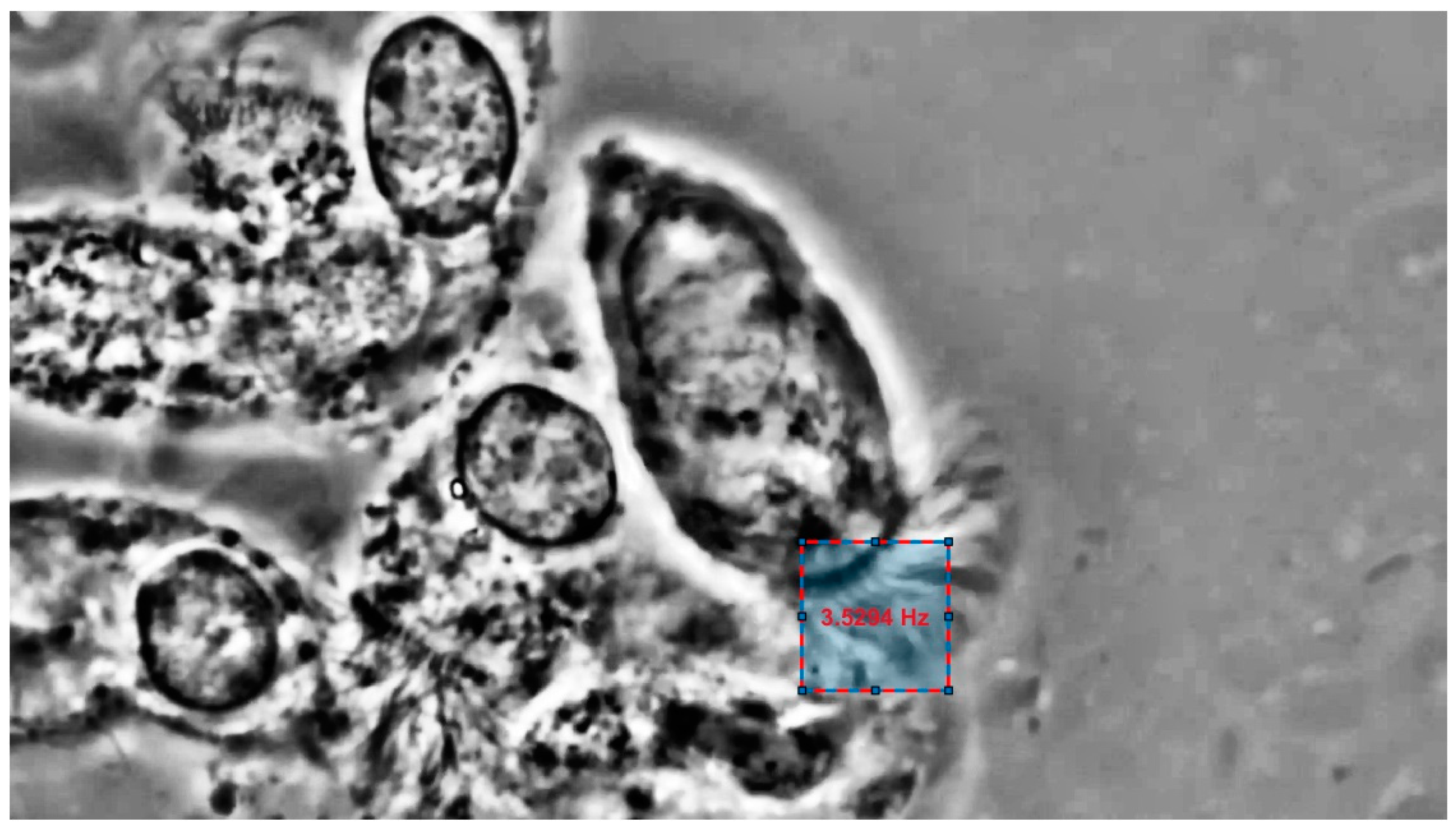 Electronics 09 01002 g008