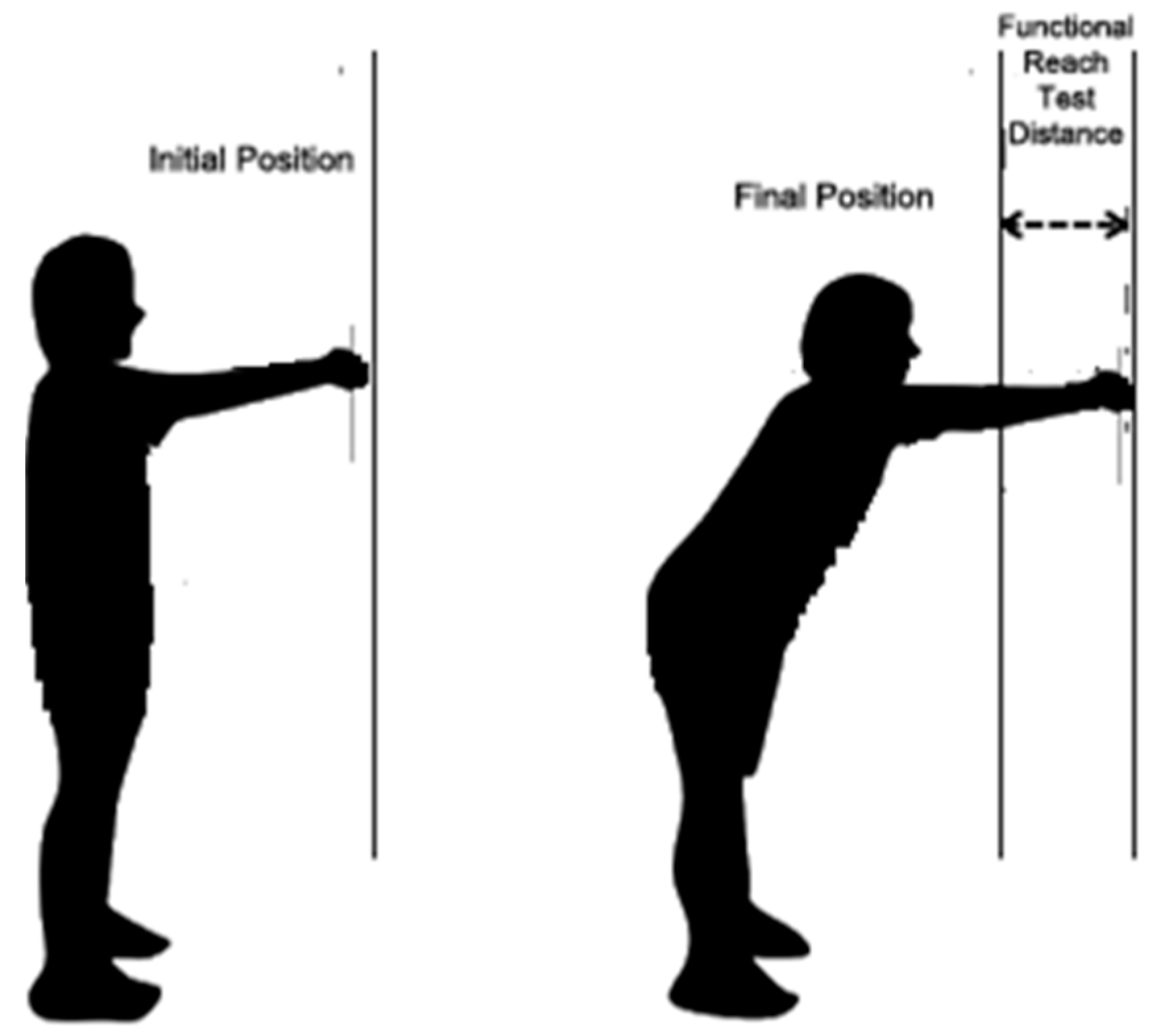 Functional Posture - ScienceDirect