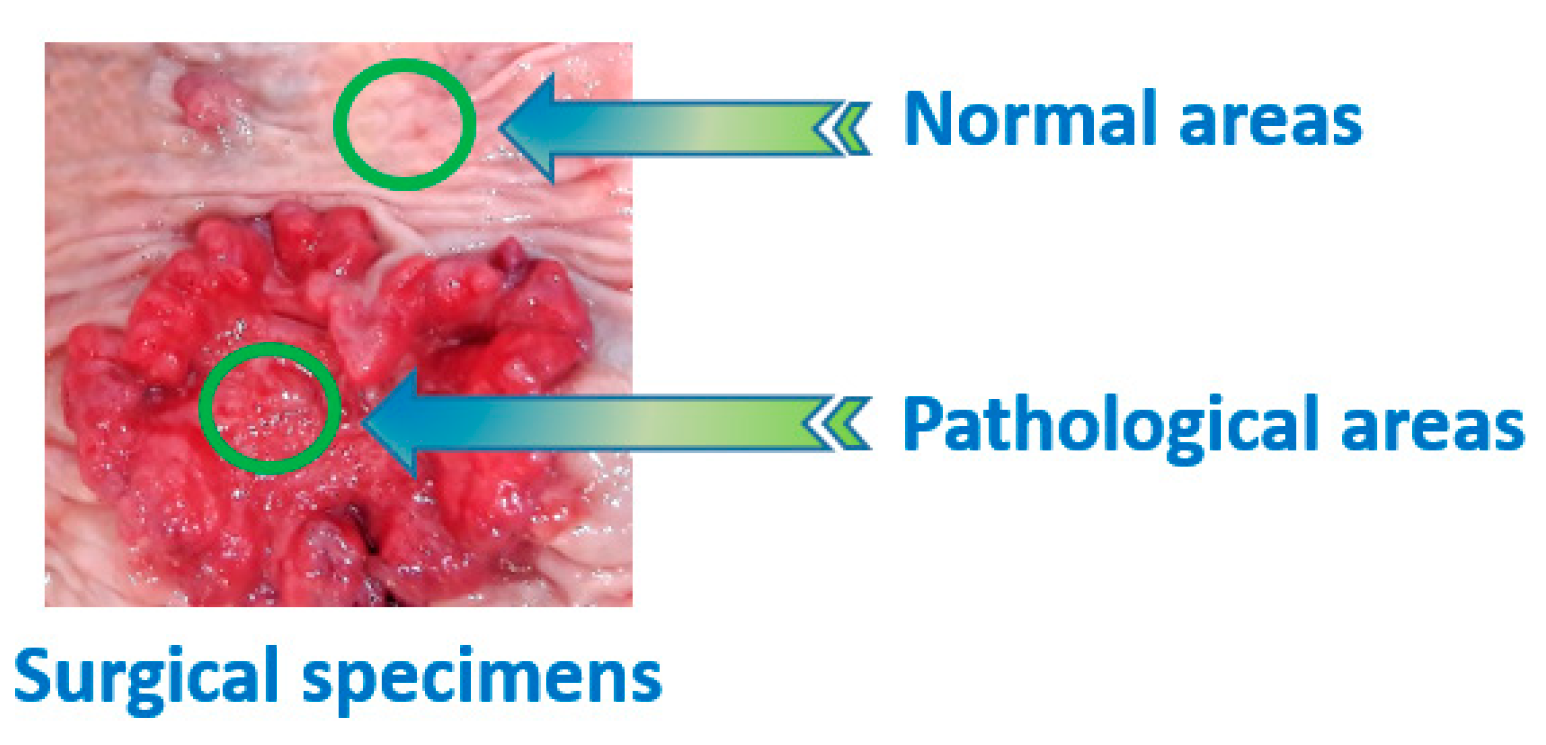 Electronics 09 01805 g001