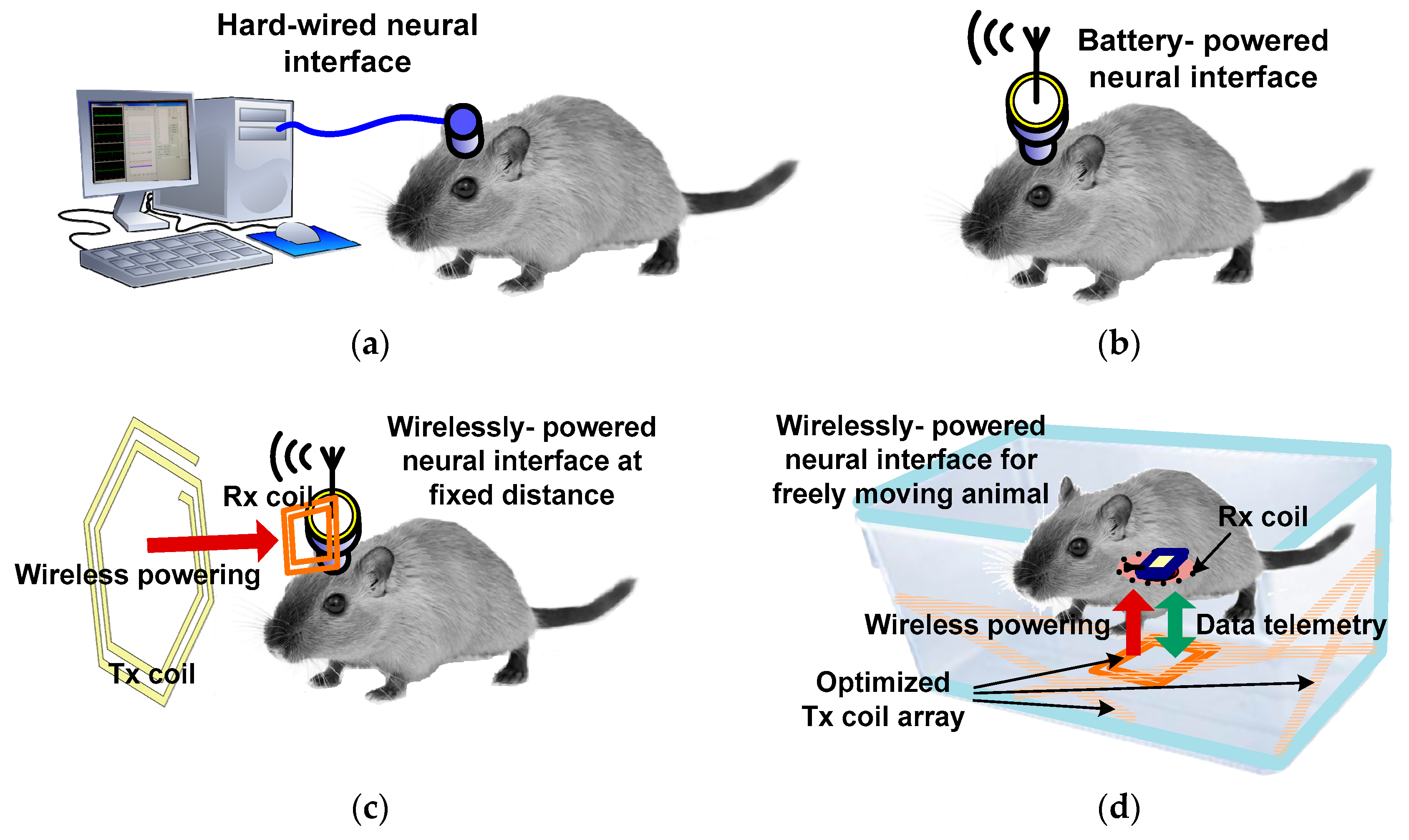 Electronics | Free Full-Text | Wirelessly-Powered Cage Designs for  Supporting Long-Term Experiments on Small Freely Behaving Animals in a  Large Experimental Arena