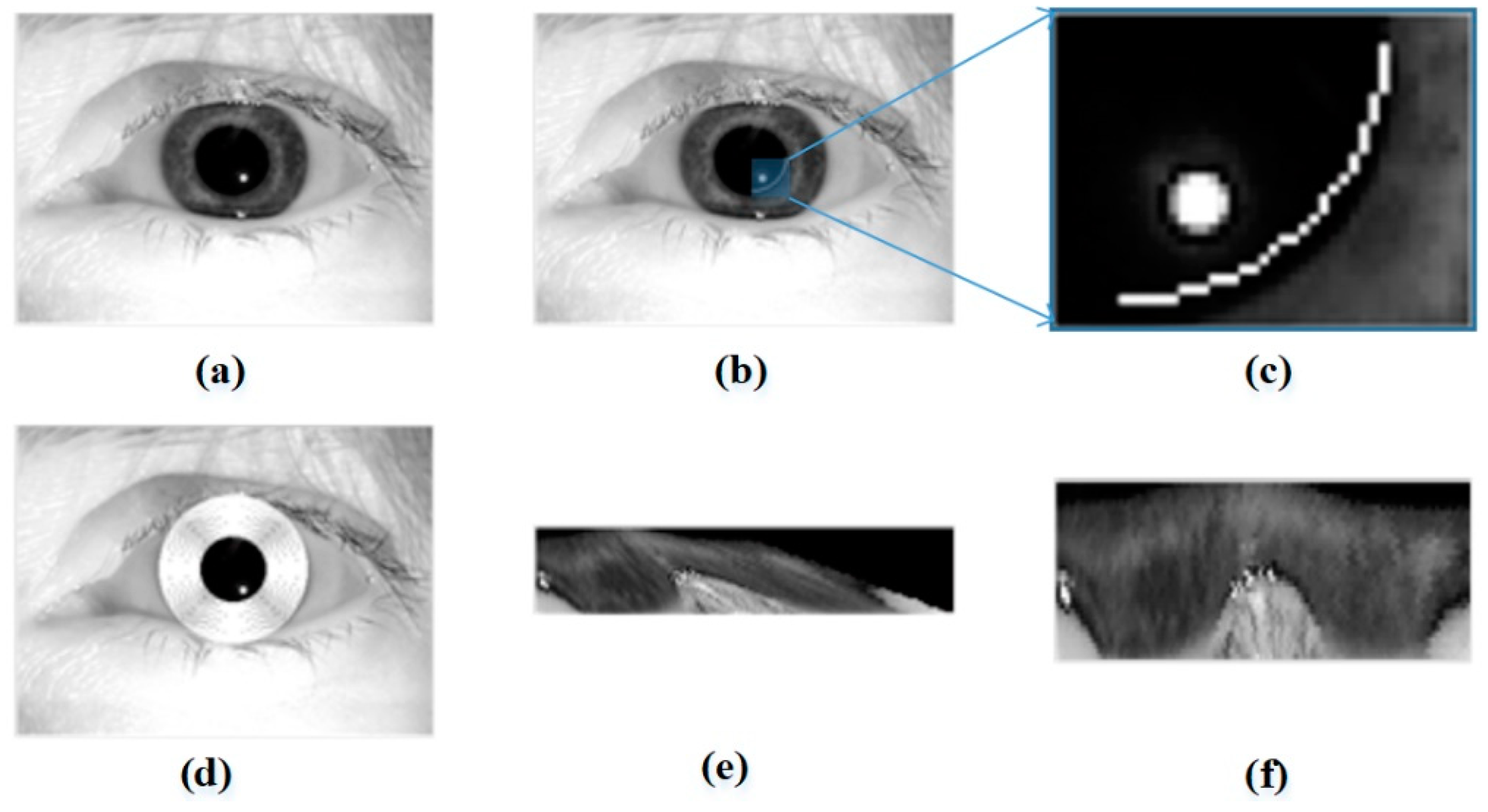 Electronics 10 00241 g006