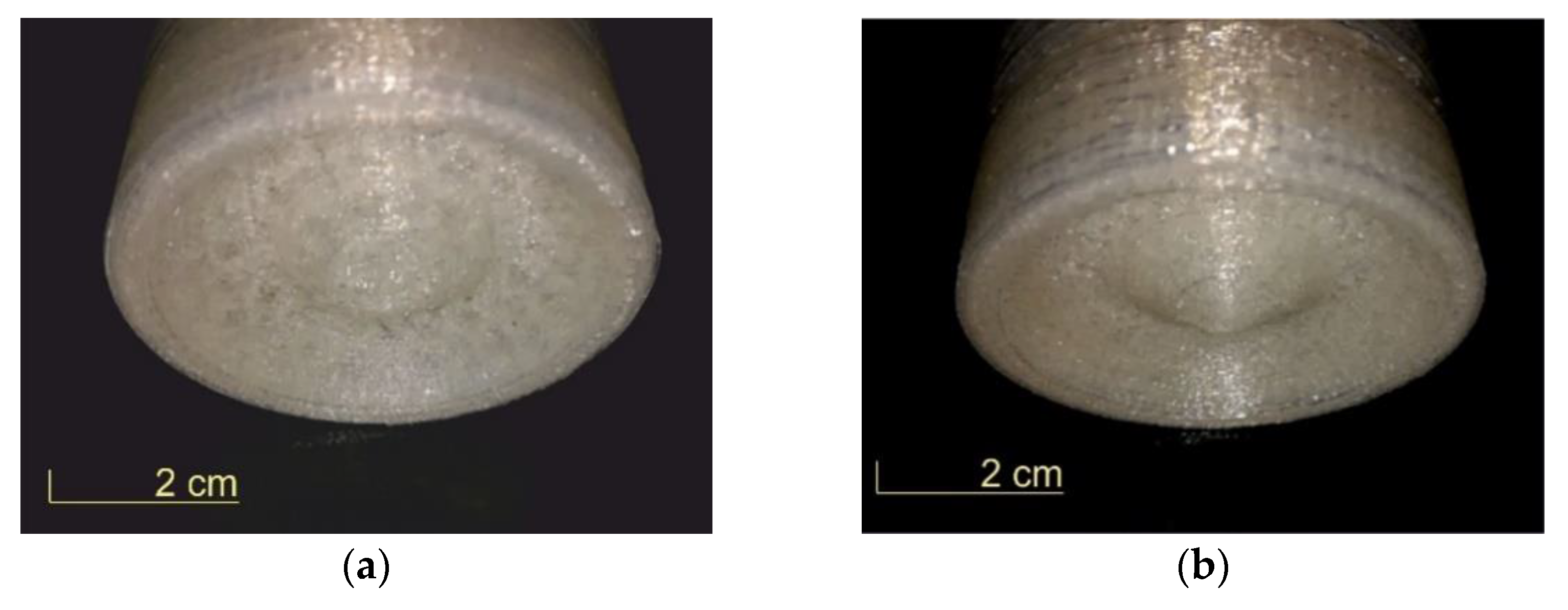 Electronics 10 00365 g001a