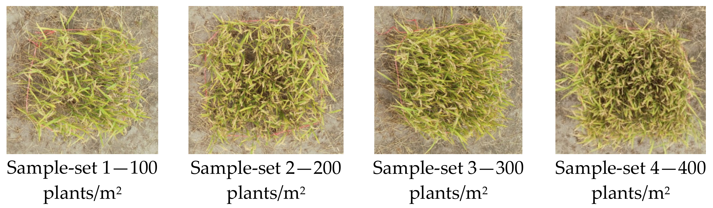 Electronics 10 00872 g002