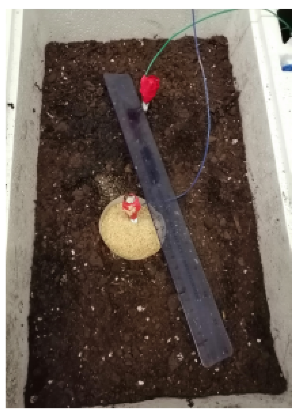 Electronics 10 01281 g012