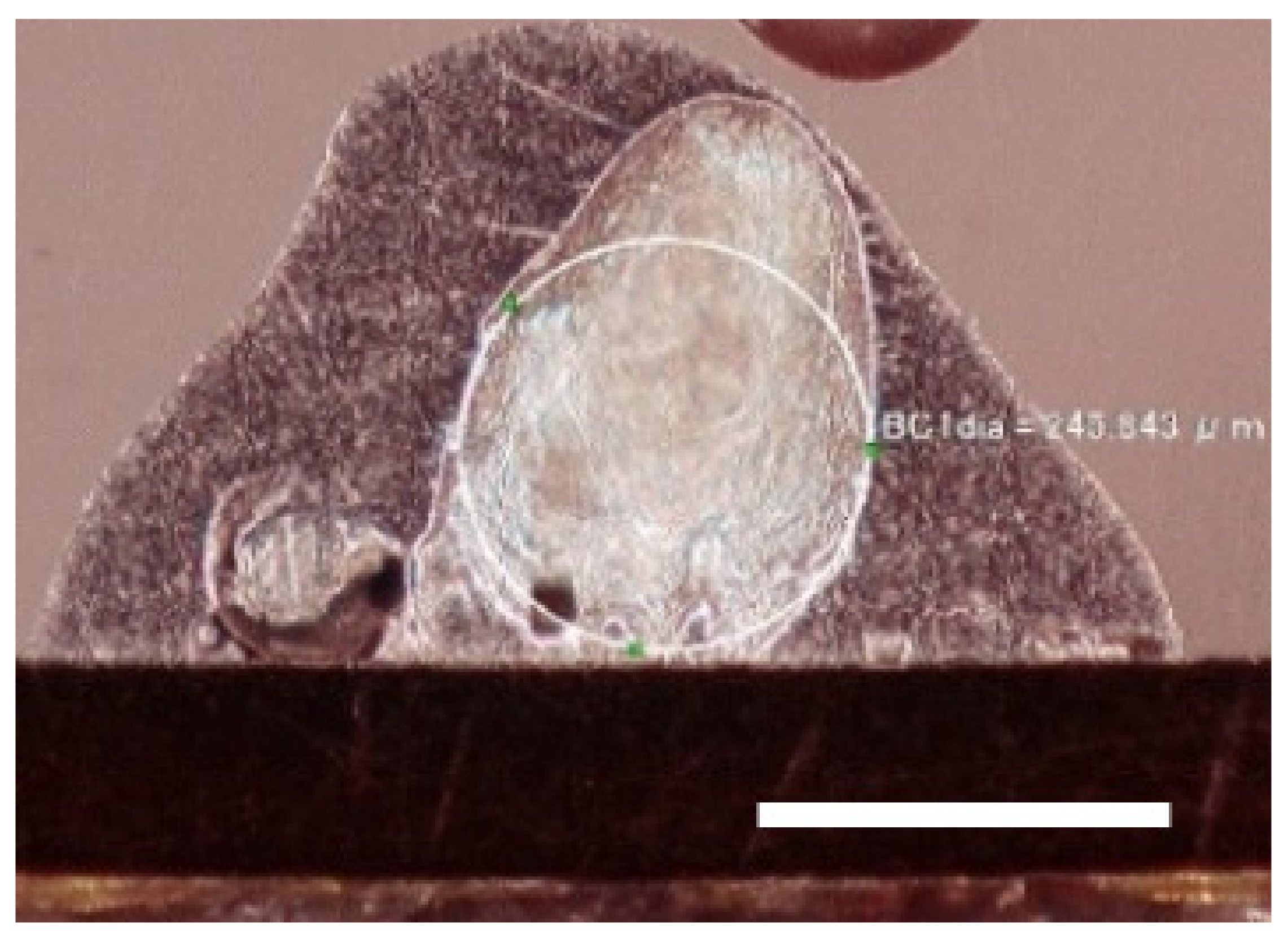 Electronics 10 01568 g009