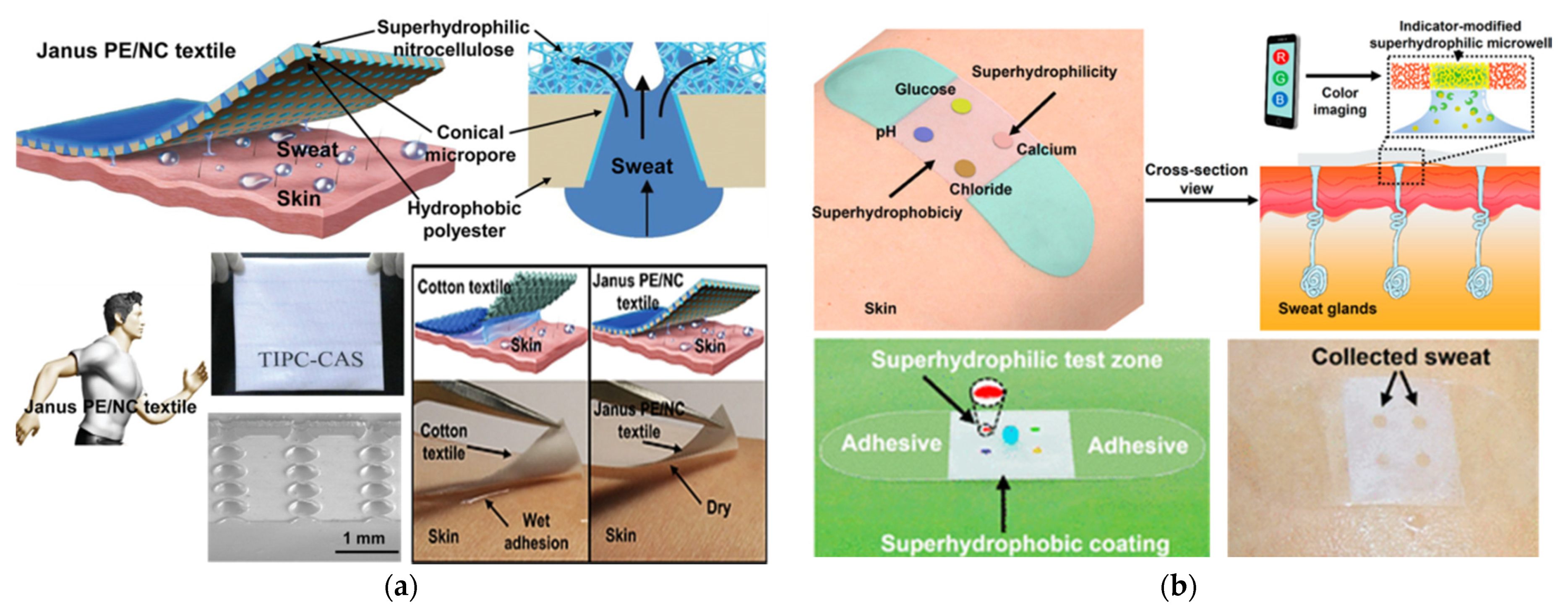 Electronics 10 01660 g019