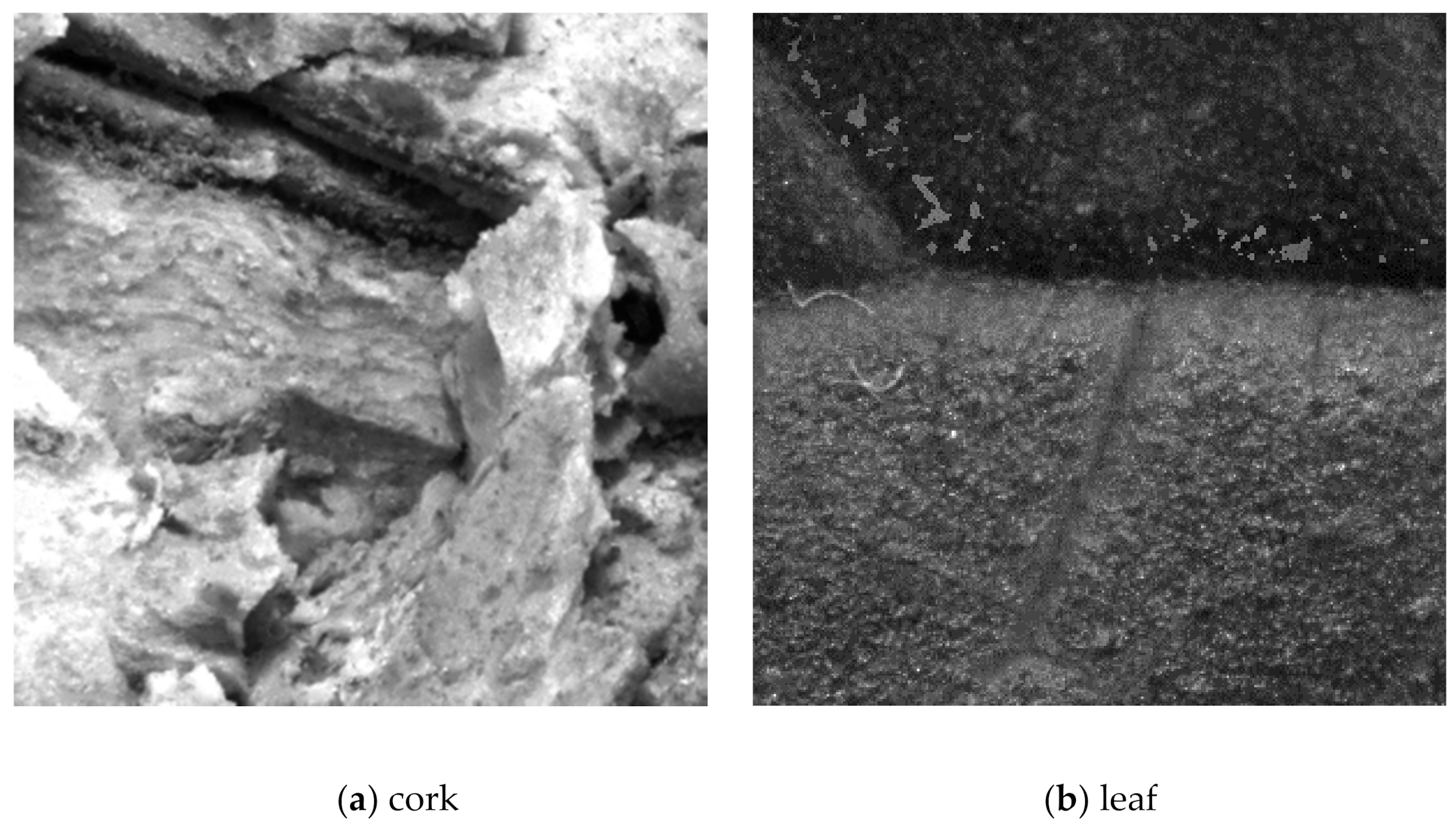 Electronics 10 01870 g010