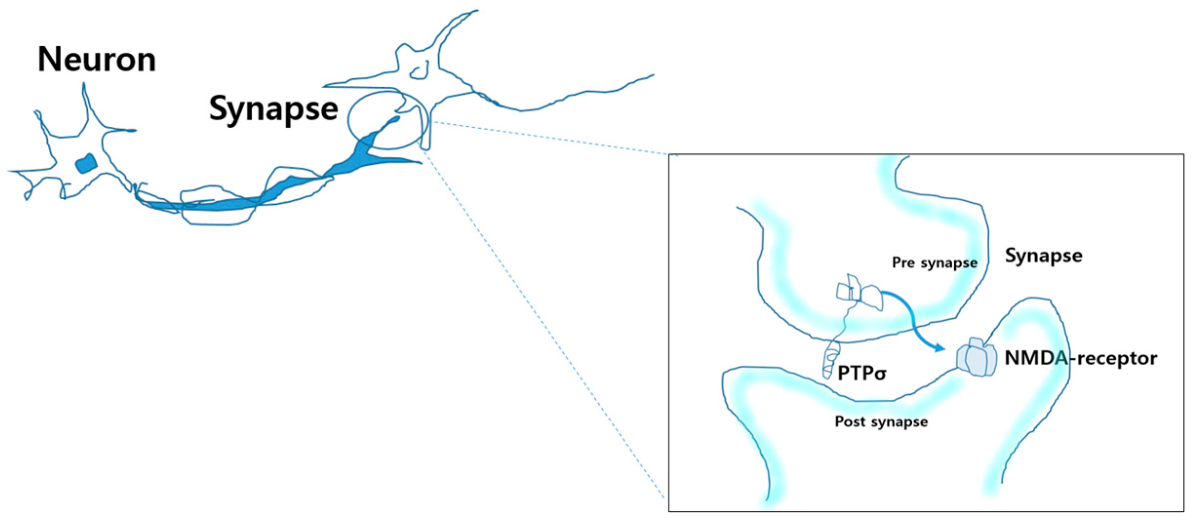 Electronics 10 01900 g003