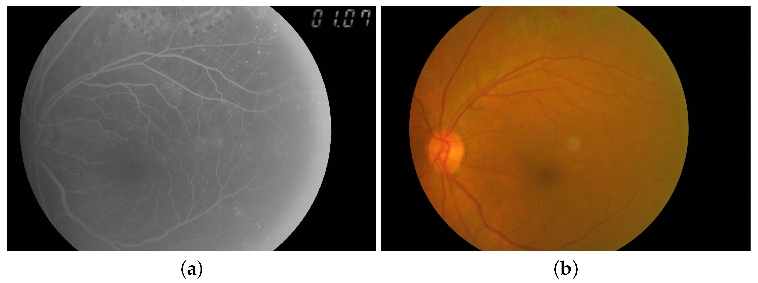 Electronics 10 02297 g001