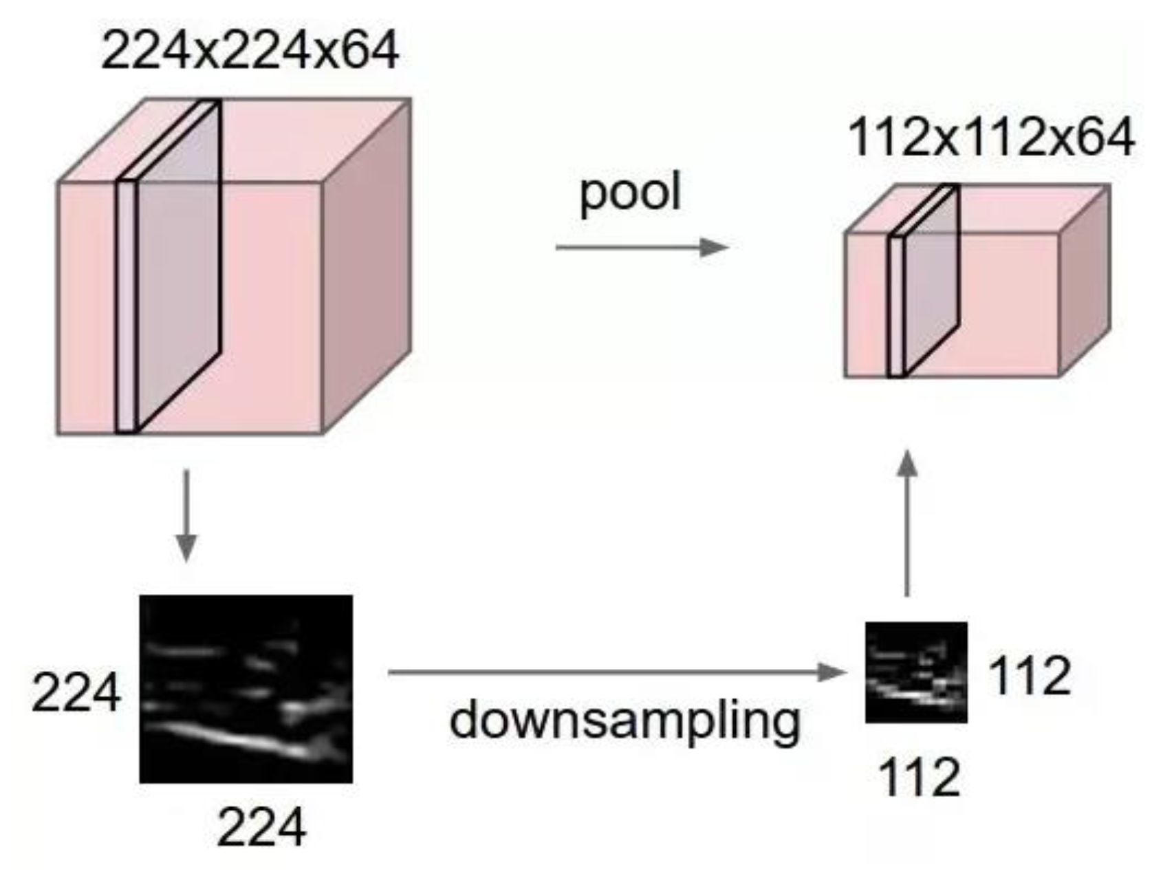 Electronics 10 02444 g005