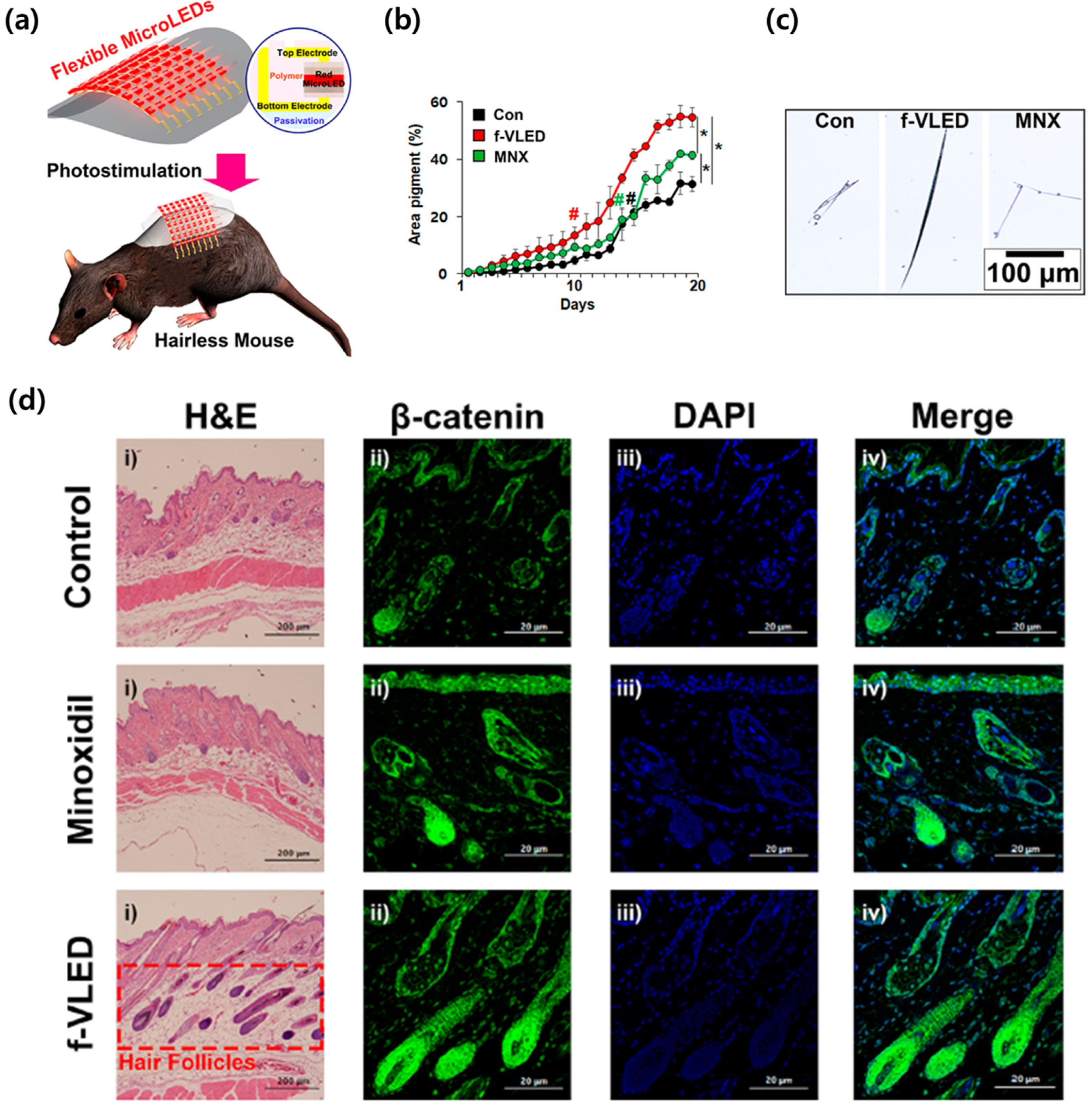 Electronics 10 02644 g009