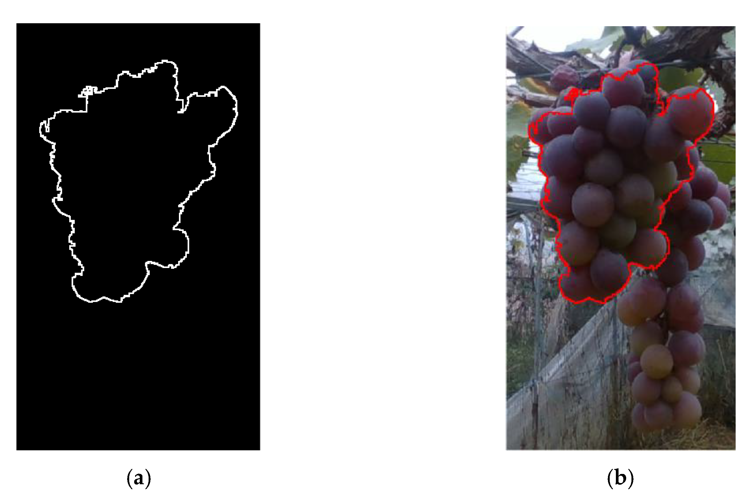 Electronics 10 02813 g017