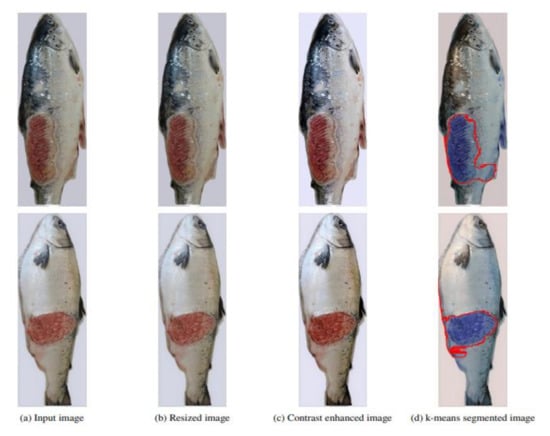 Fish Meter: Digital Sampling Board — Deep Vision