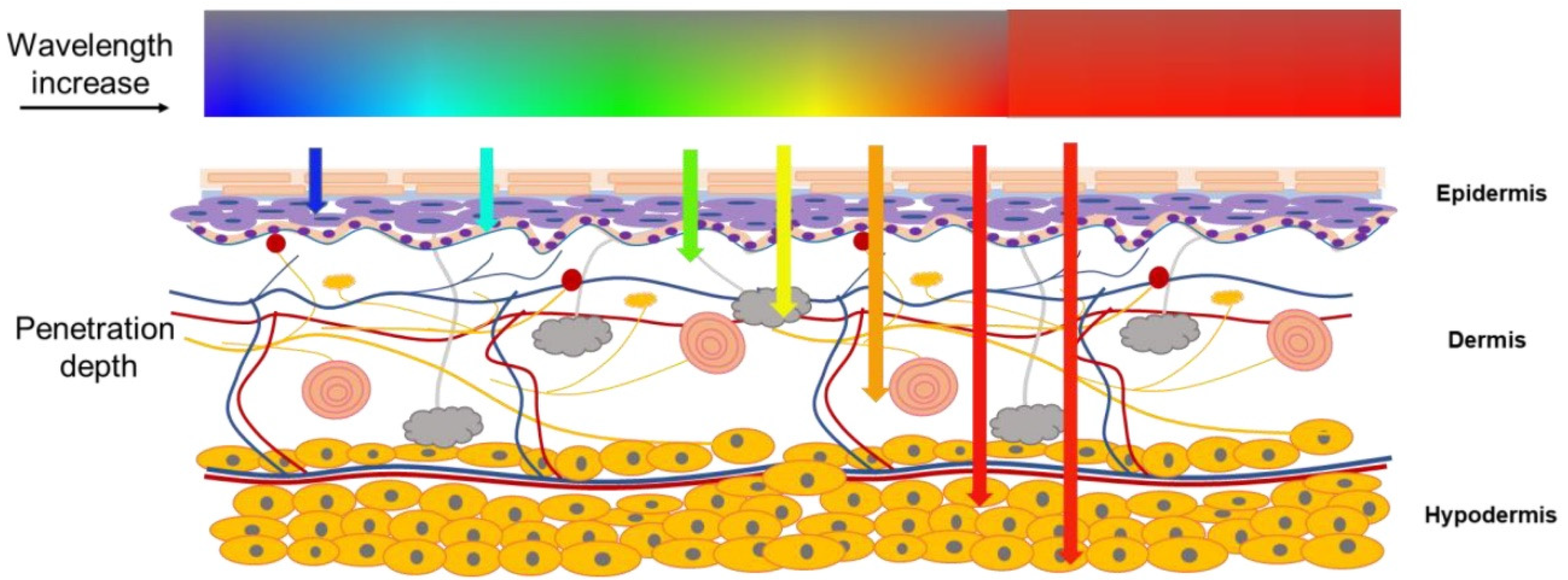 Electronics 11 00099 g014