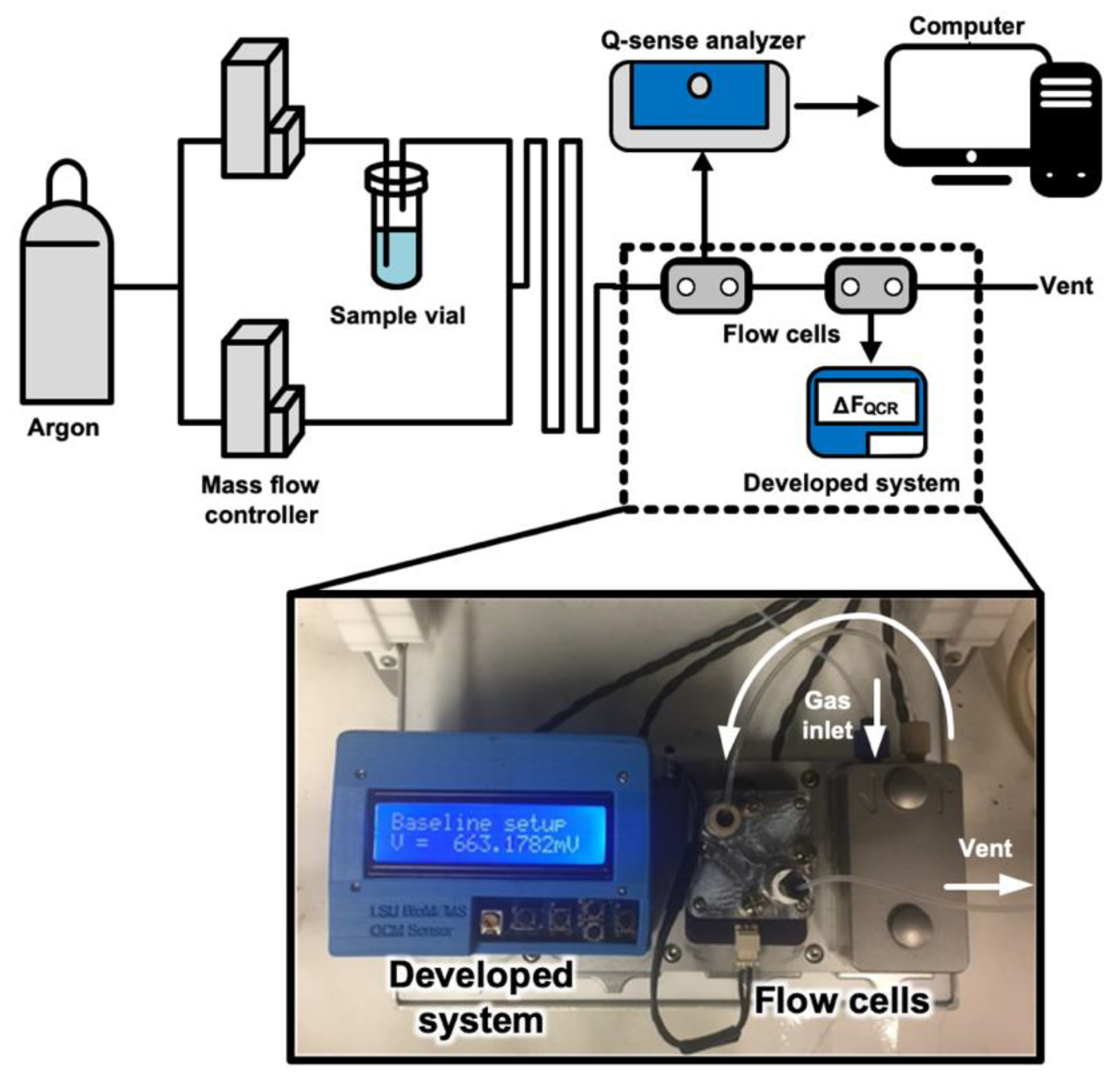 Electronics 11 00358 g003