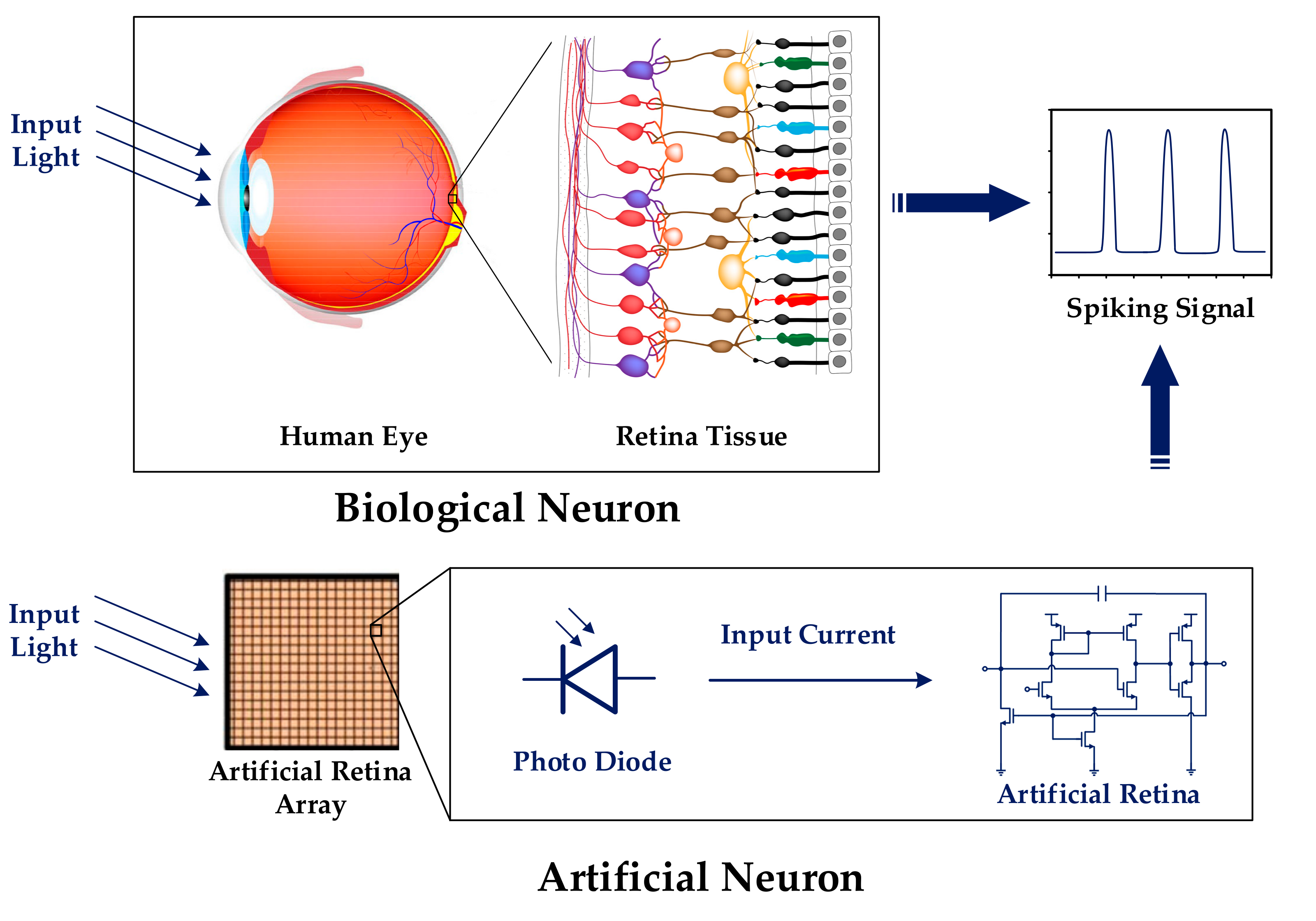 Retinal Variables for Visual Encoding – The Art of Data