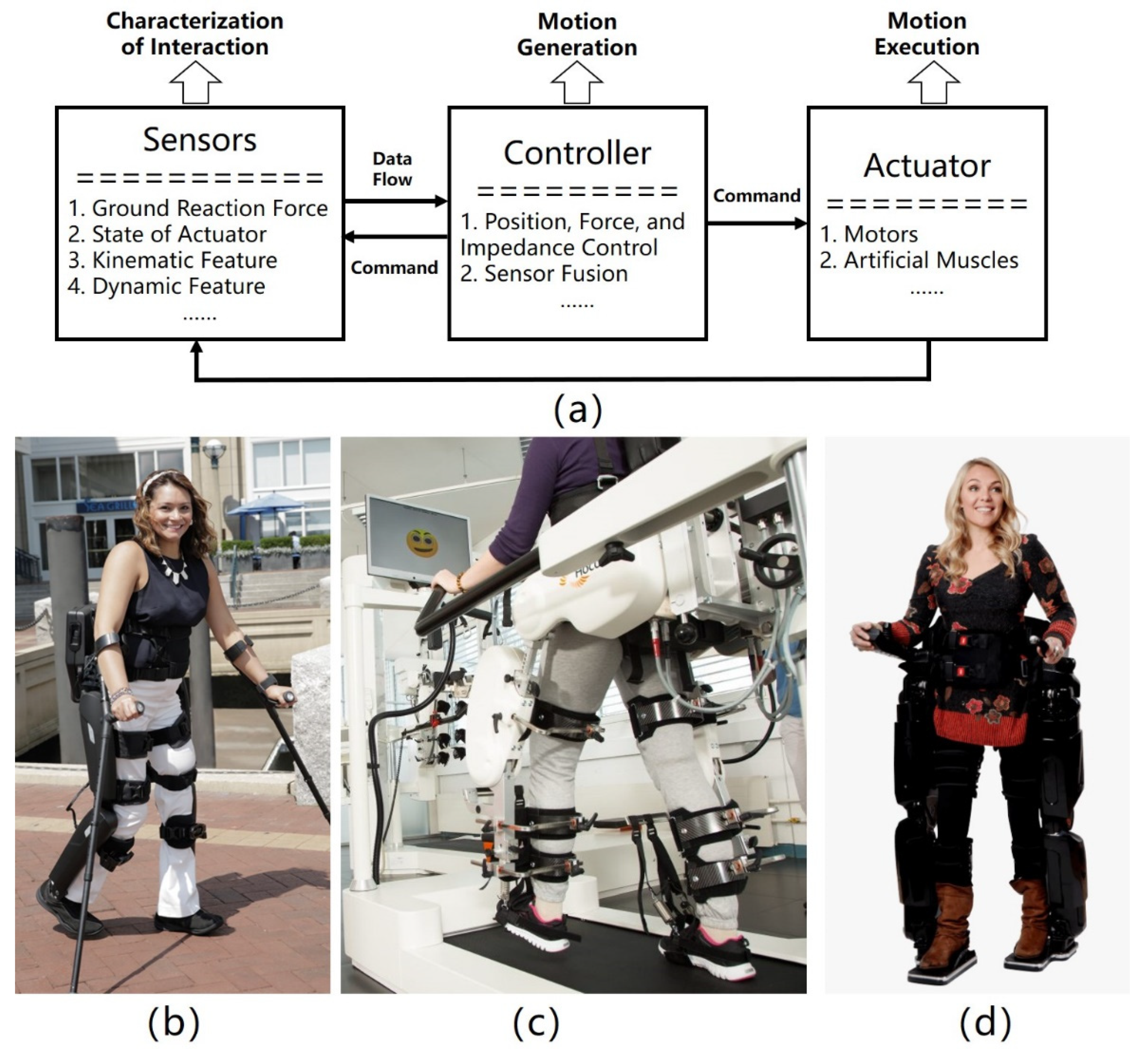 Electronics | Free Full-Text | A Review on the Rehabilitation Exoskeletons  for the Lower Limbs of the Elderly and the Disabled