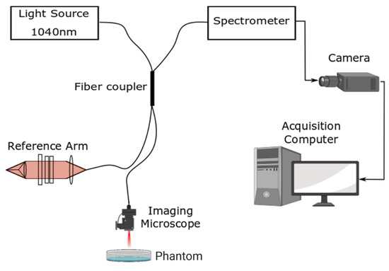Electronics | Free Full-Text | Textural Feature Analysis of Optical  Coherence Tomography Phantoms