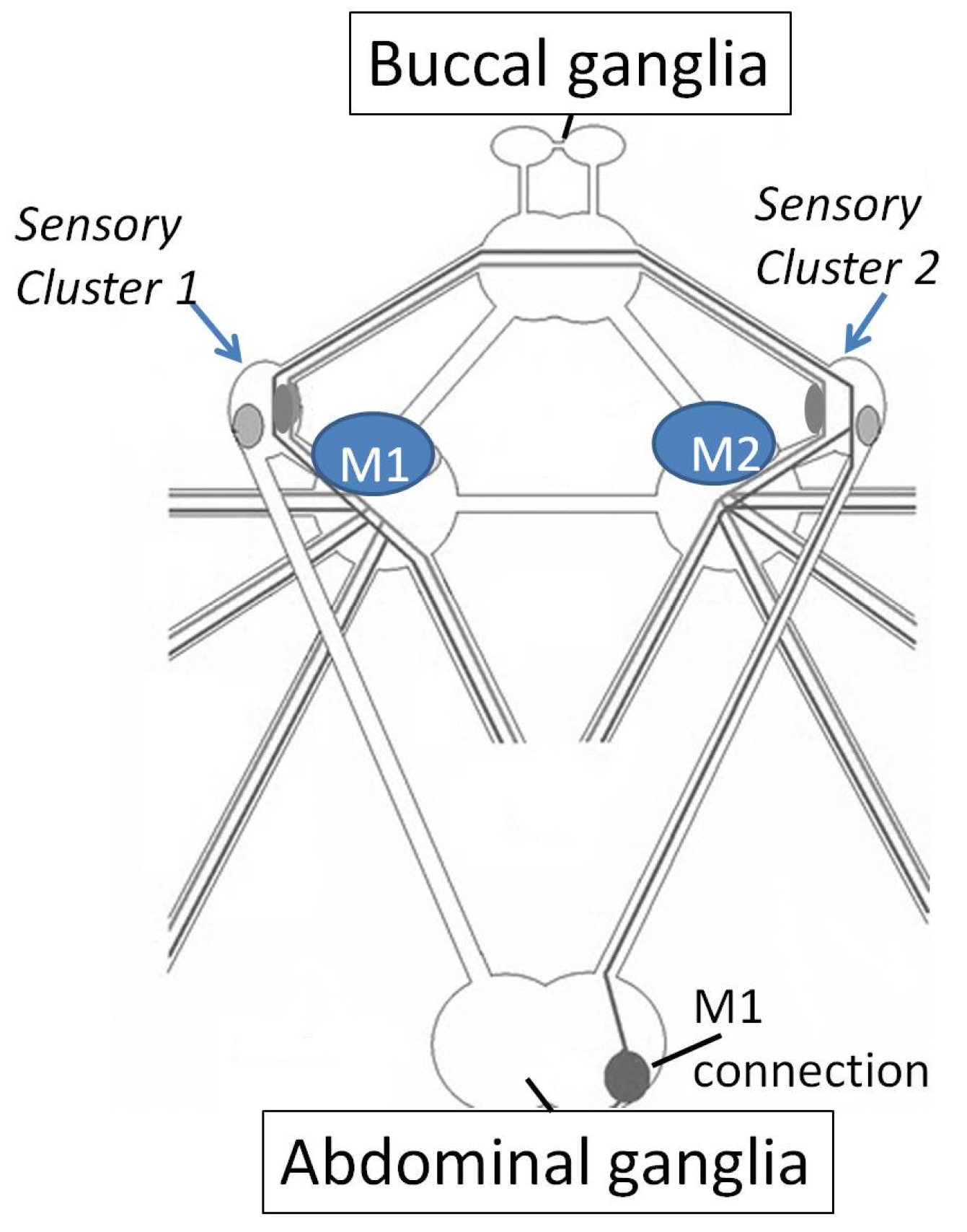 Electronics 11 00707 g003 Electronics 11 00707 g003