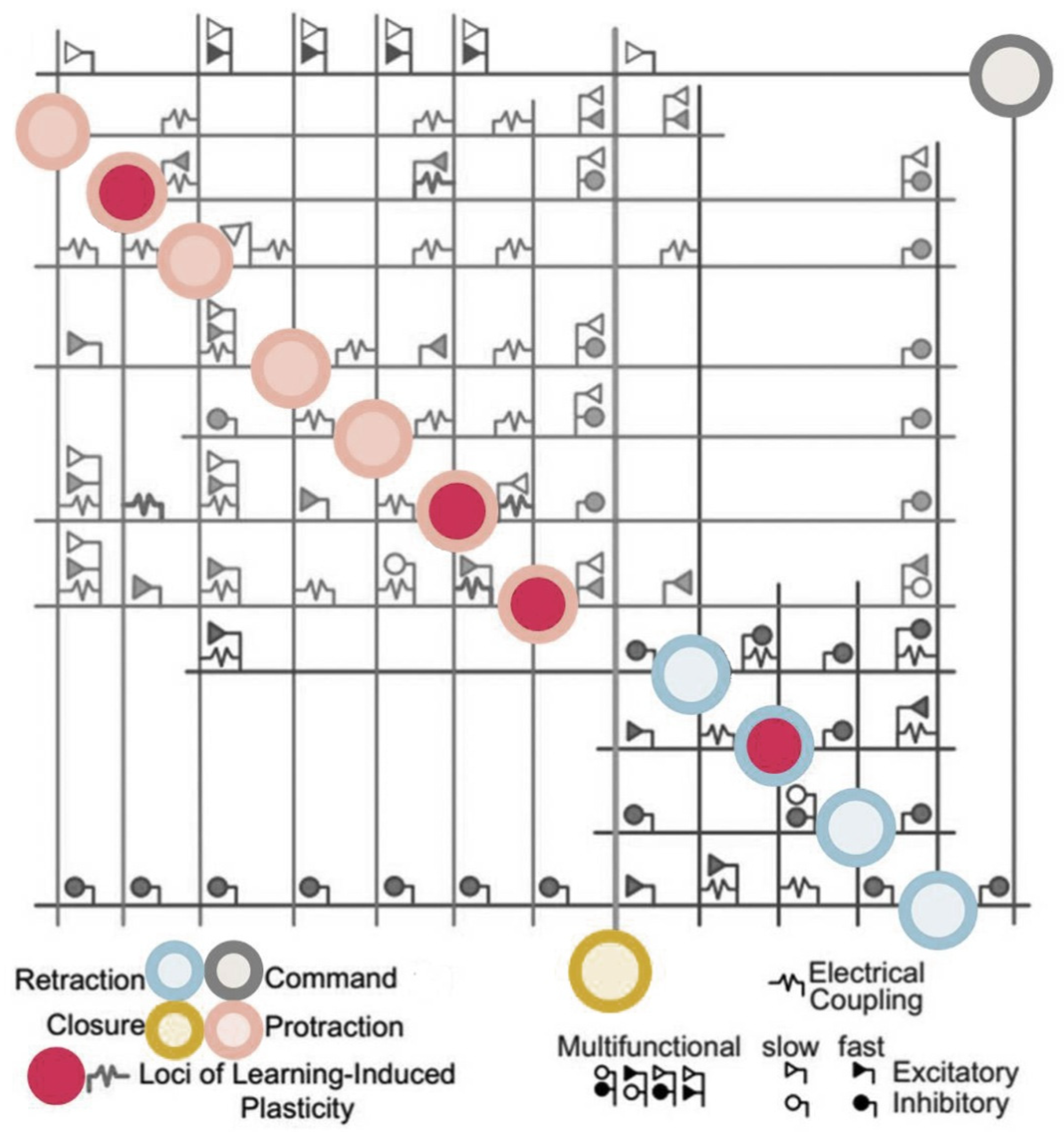 Electronics 11 00707 g007 Electronics 11 00707 g007