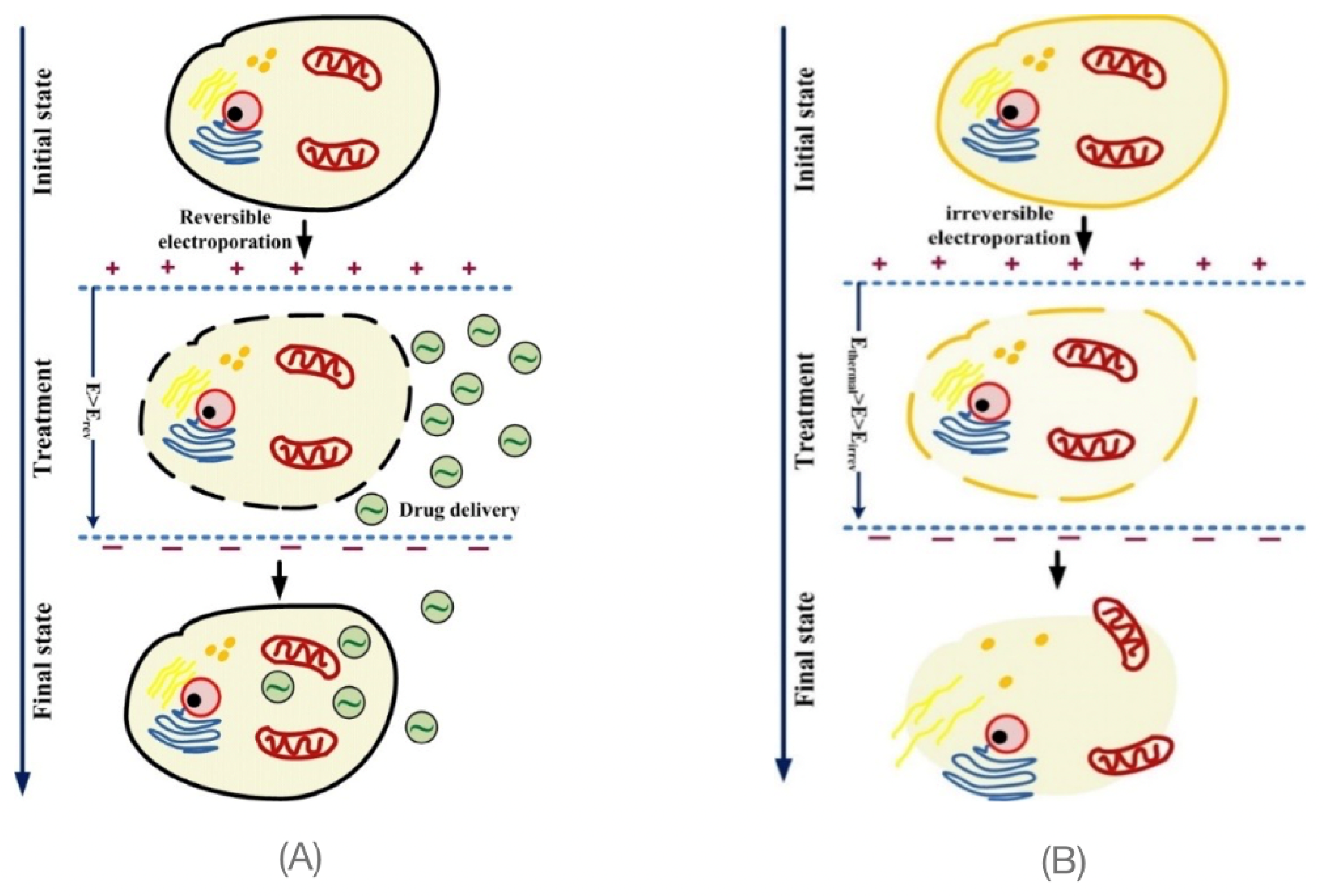 Electronics 11 02013 g001