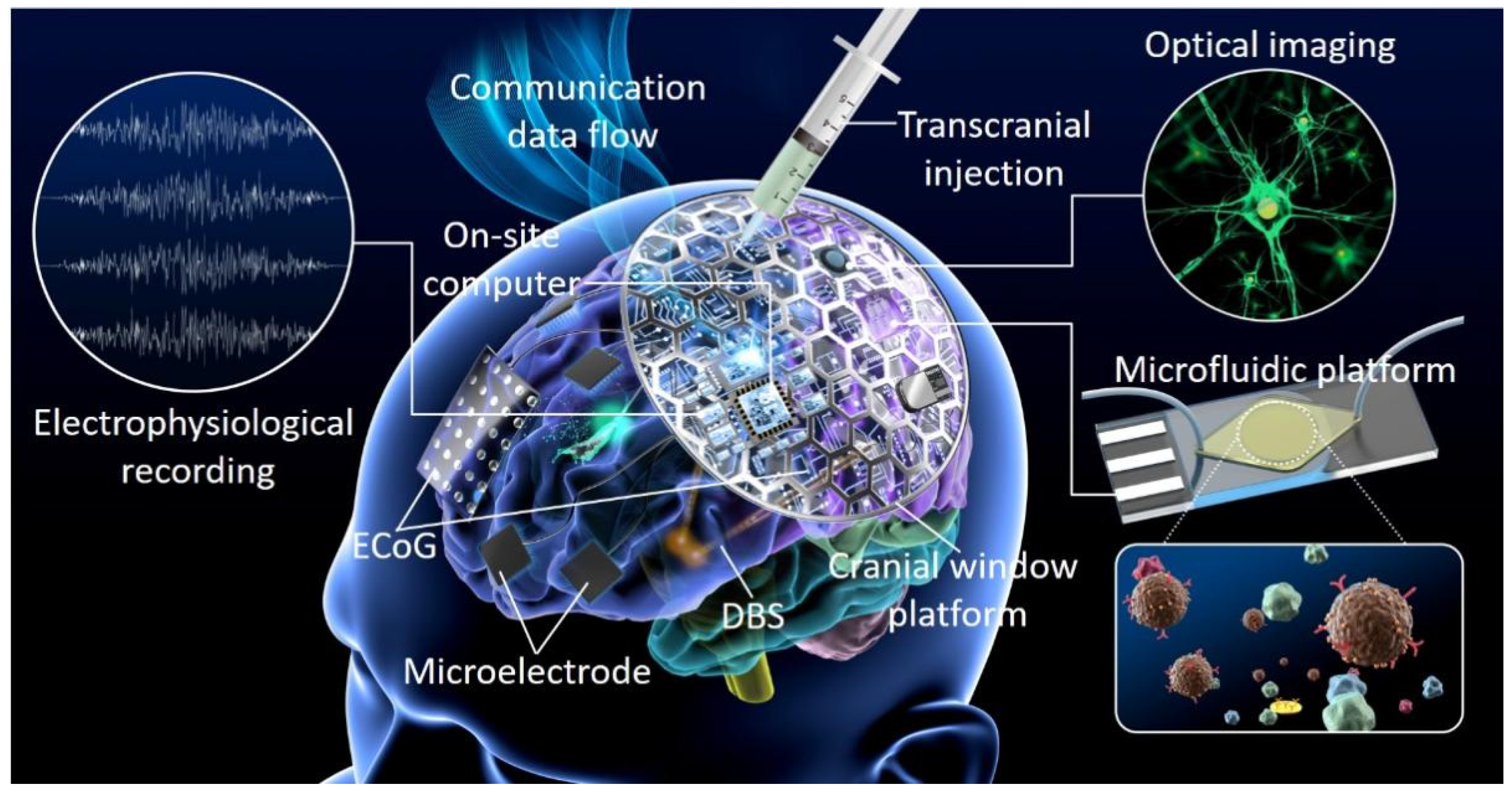 Electronics 11 02559 g006