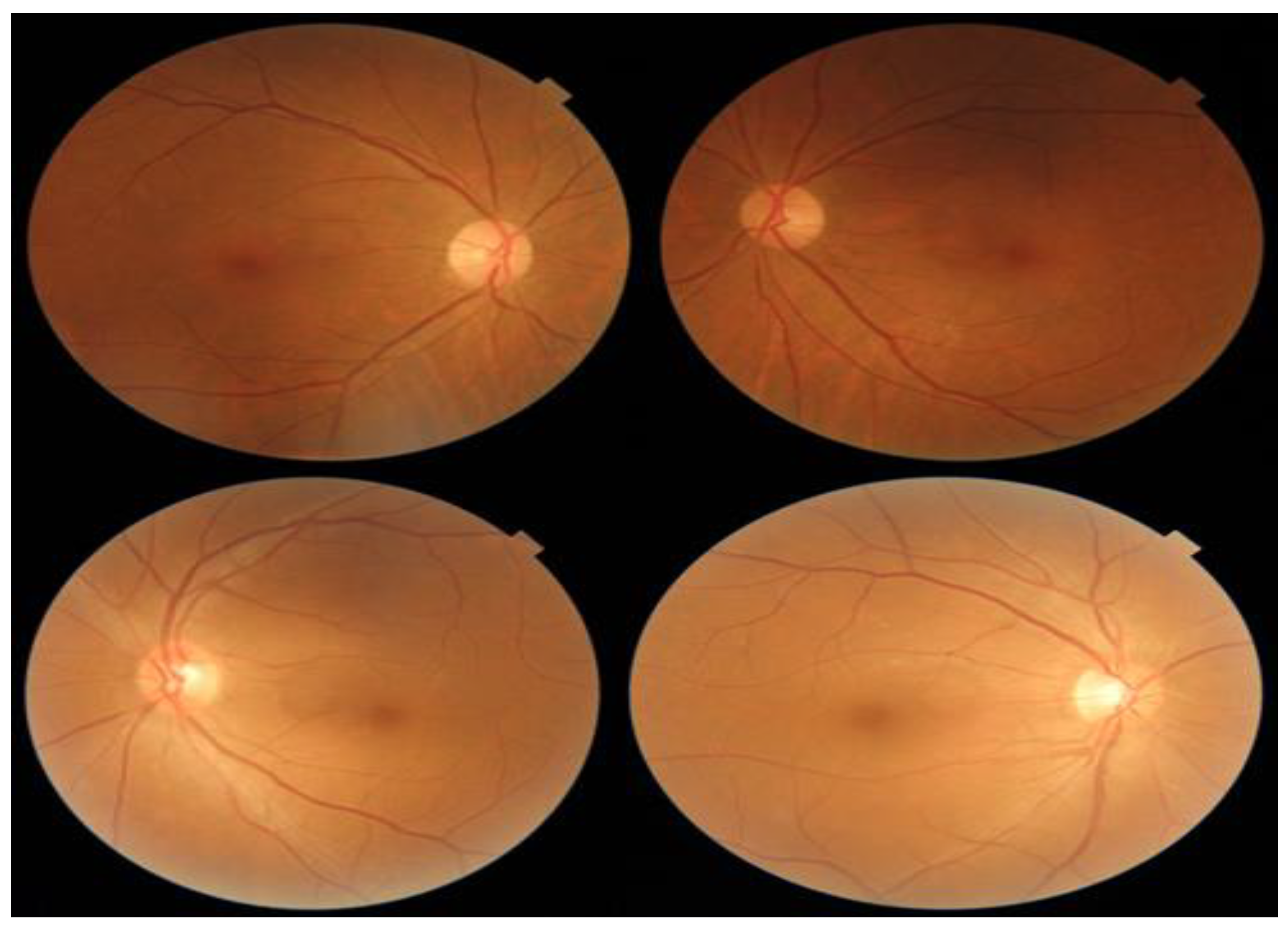 Electronics 11 02740 g003 Electronics 11 02740 g003